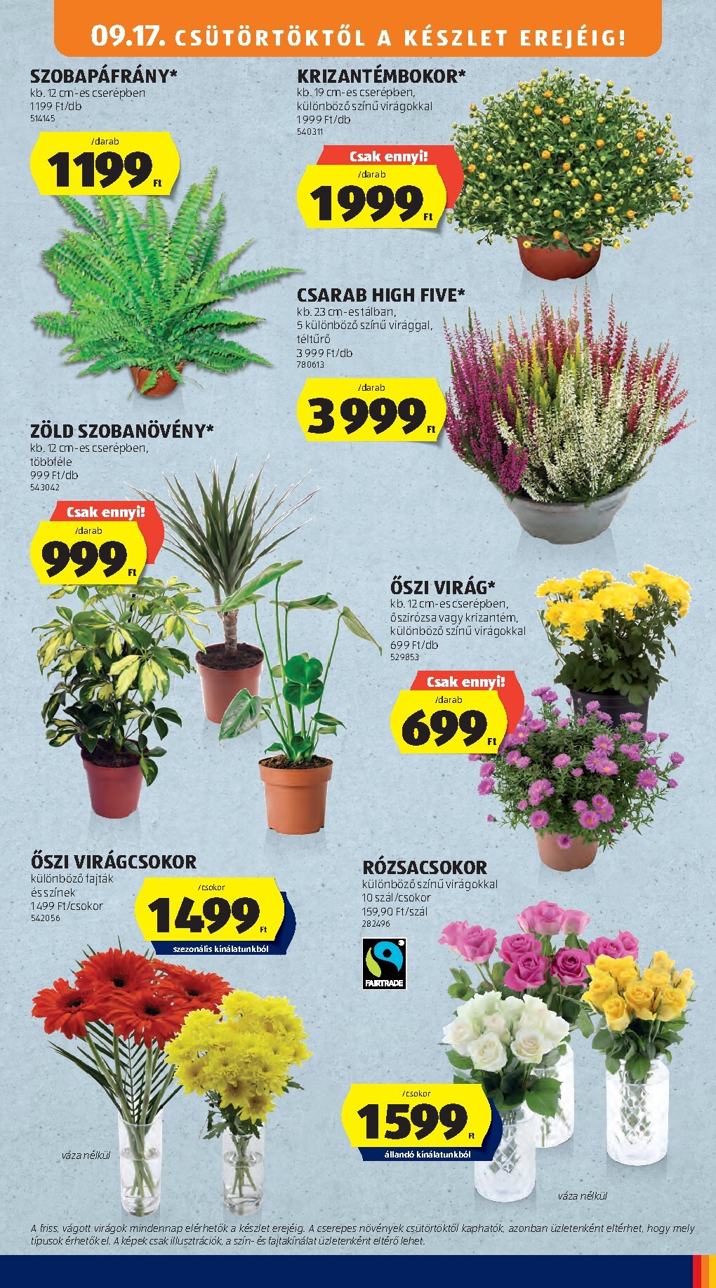 aldi - Aktuális Aldi szórólap érvényes csütörtöktől 2026.09.17.-től szerdától 2026.09.23.-ig - page: 35
