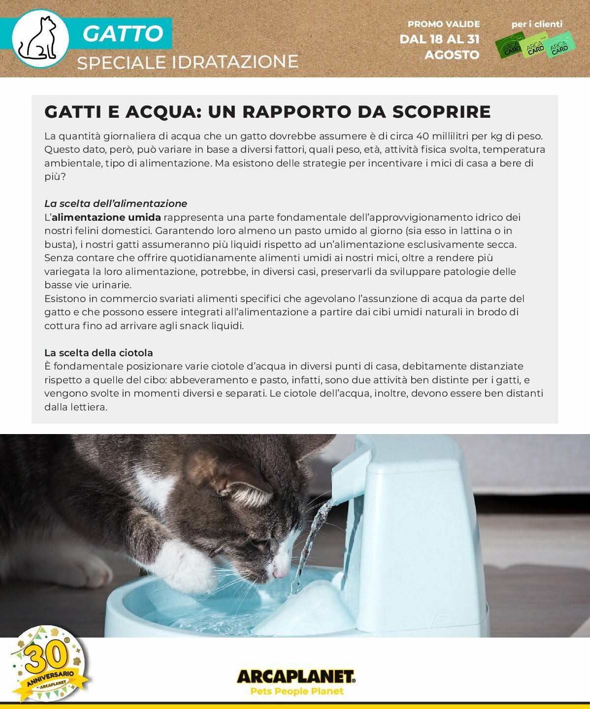 arcaplanet - Volantino Arcaplanet valido dal 18/08 al 31/08 - page: 16