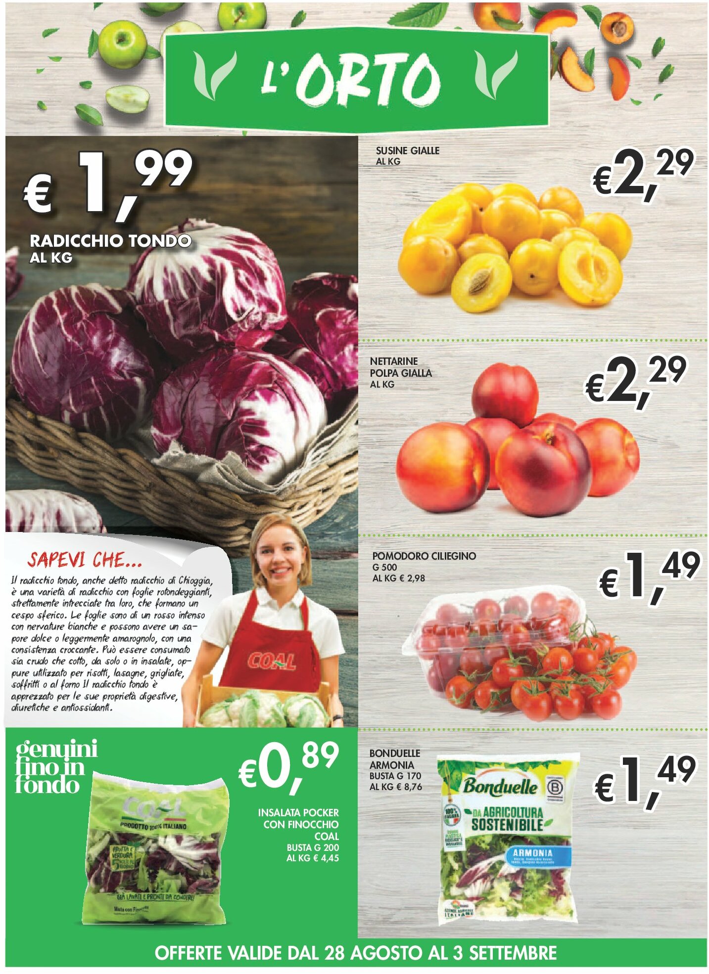 coal - Volantino Coal il Market City valido dal 28/08 al 10/09 - page: 2