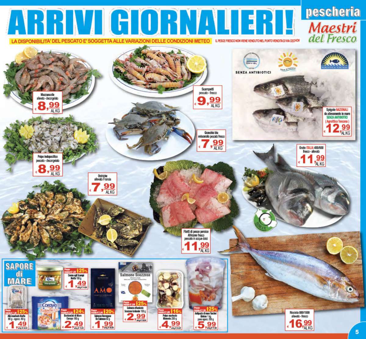 cts-supermercati - Volantino CTS supermercati valido dal 19/08 al 25/08 - page: 5