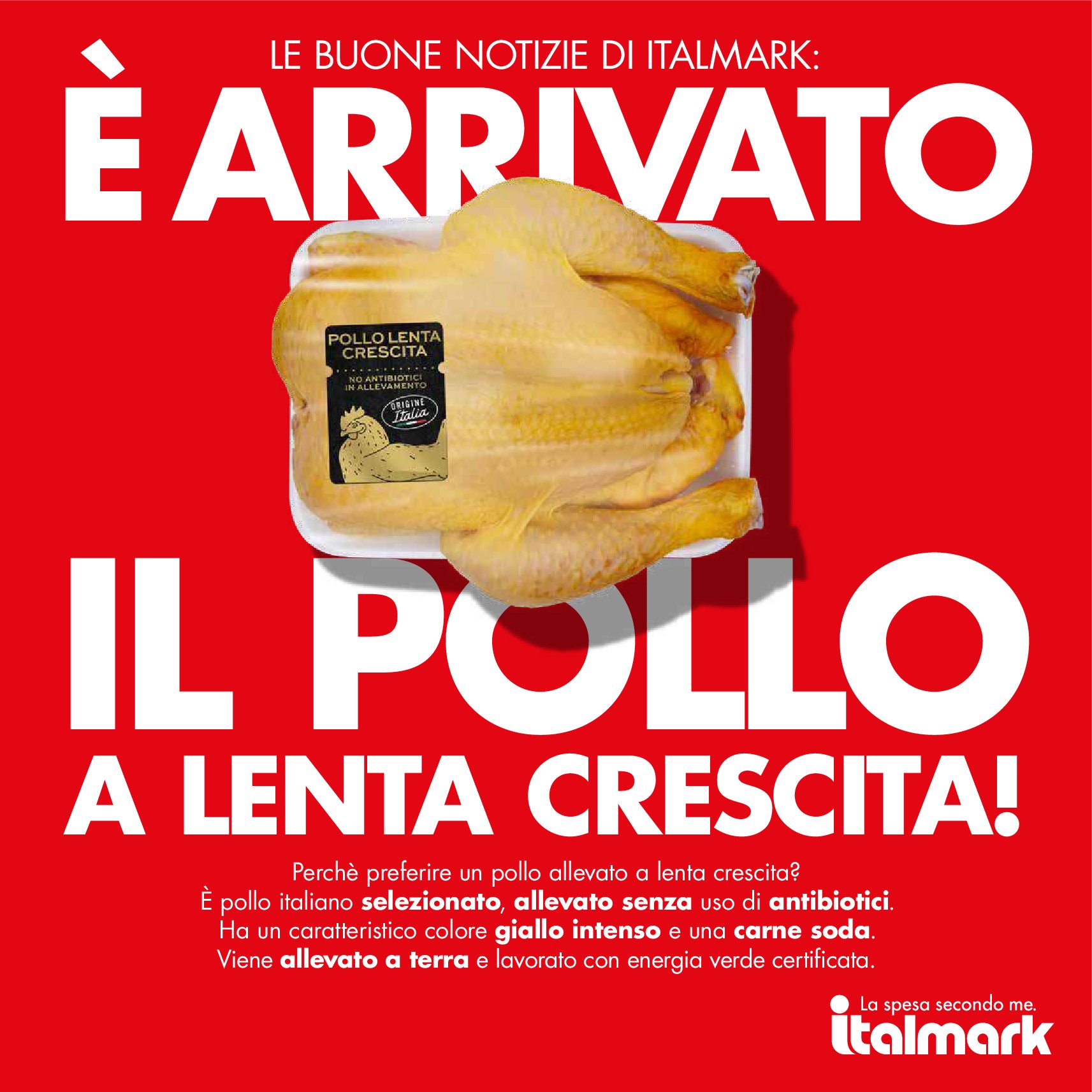 italmark - Volantino Italmark valido dal 04/09 al 16/09 - page: 17