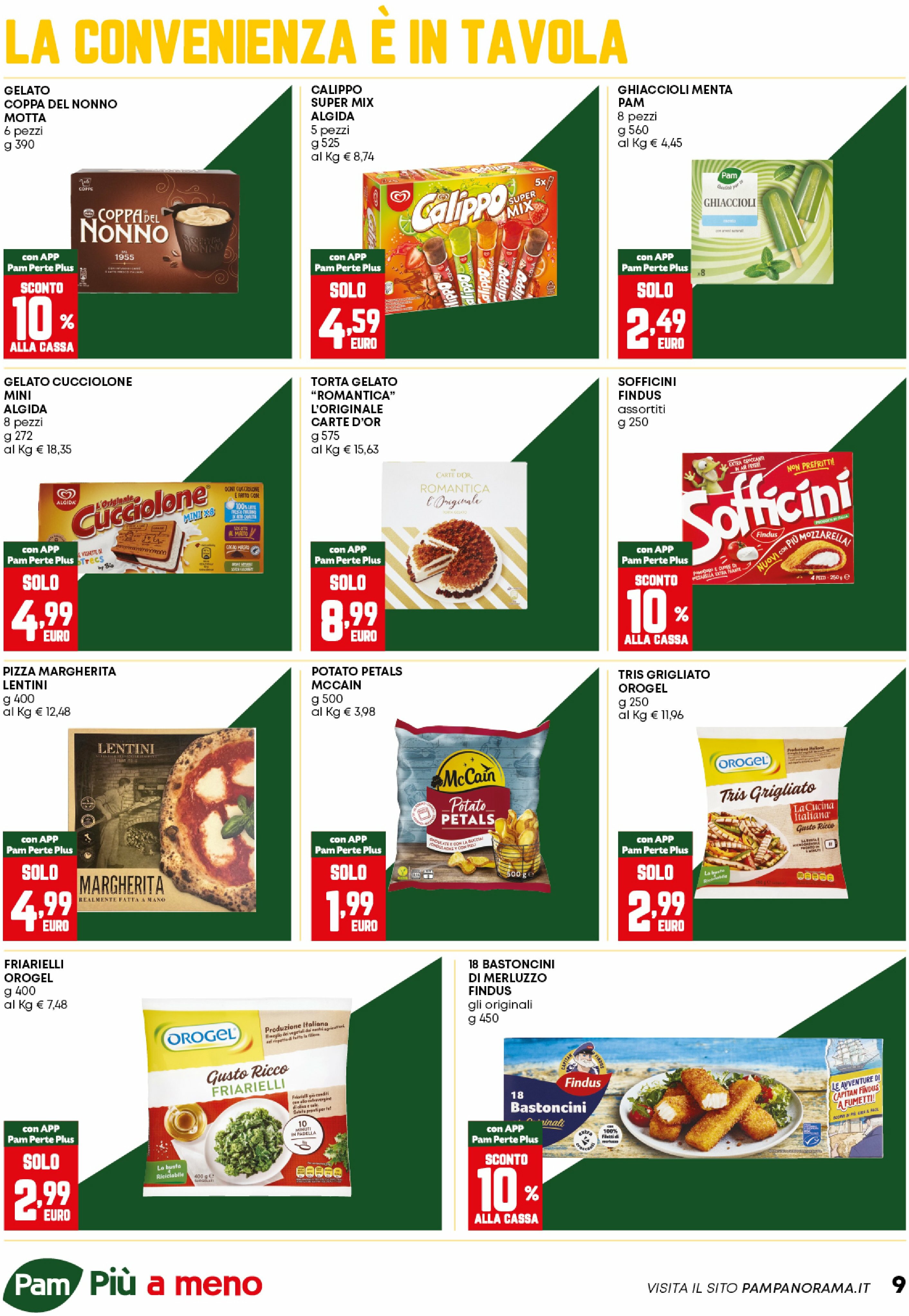 pam-retail-pro - Volantino Pam Retail Pro - Occasioni Extra valido dal 21/08 al 10/09 - page: 9