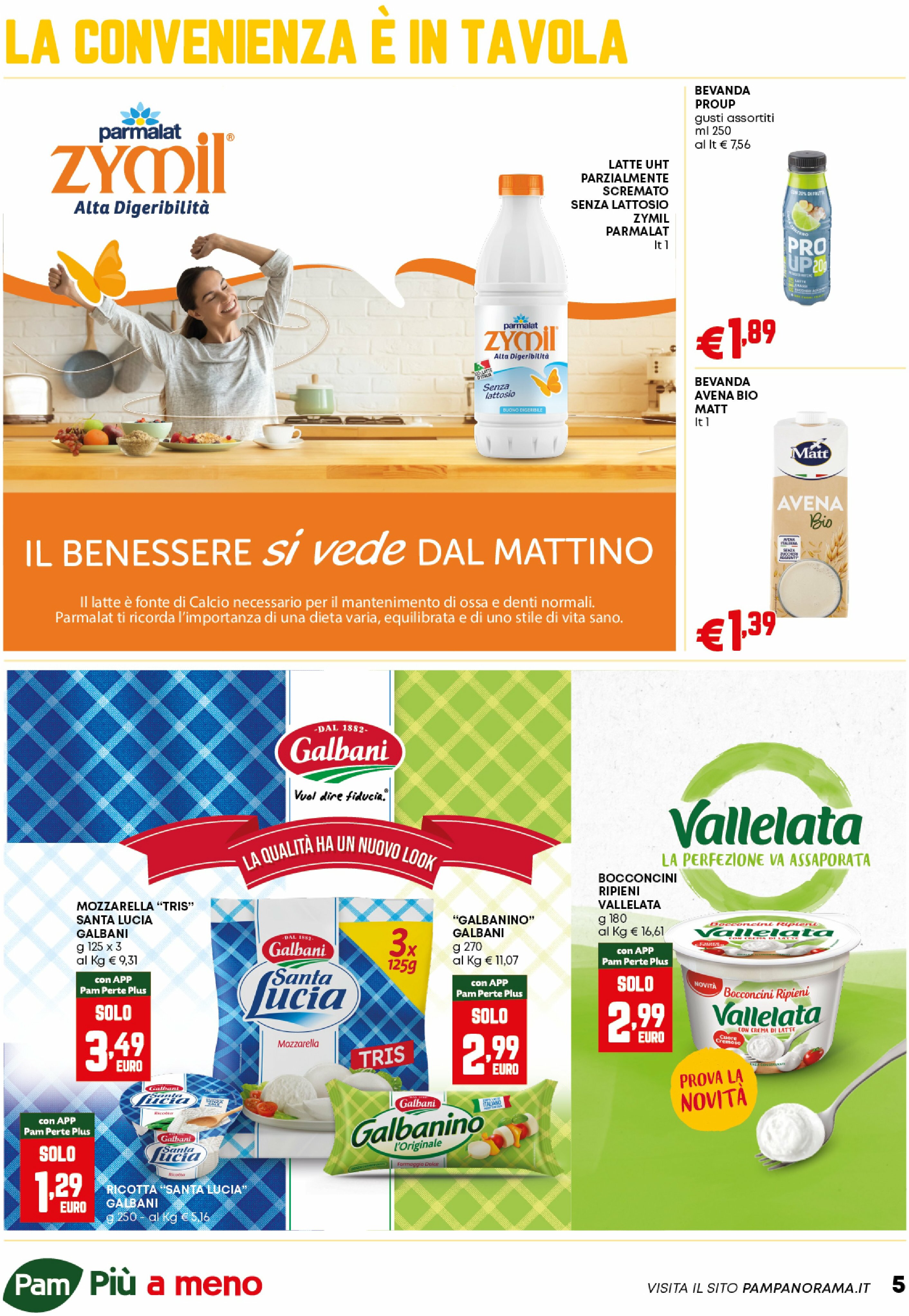 pam-retail-pro - Volantino Pam Retail Pro - Occasioni Extra valido dal 21/08 al 10/09 - page: 5