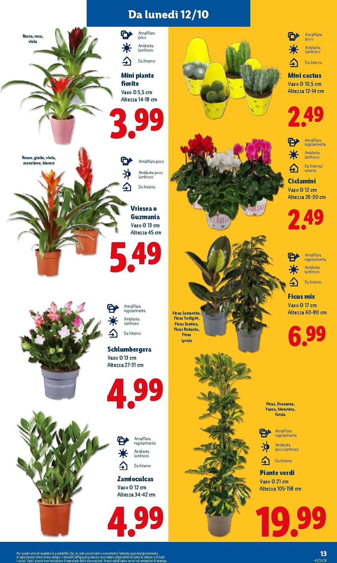 lidl - Volantino attuale di Lidl valido dal giovedì 08/10/2026 al mercoledì 14/10/2026 - page: 35