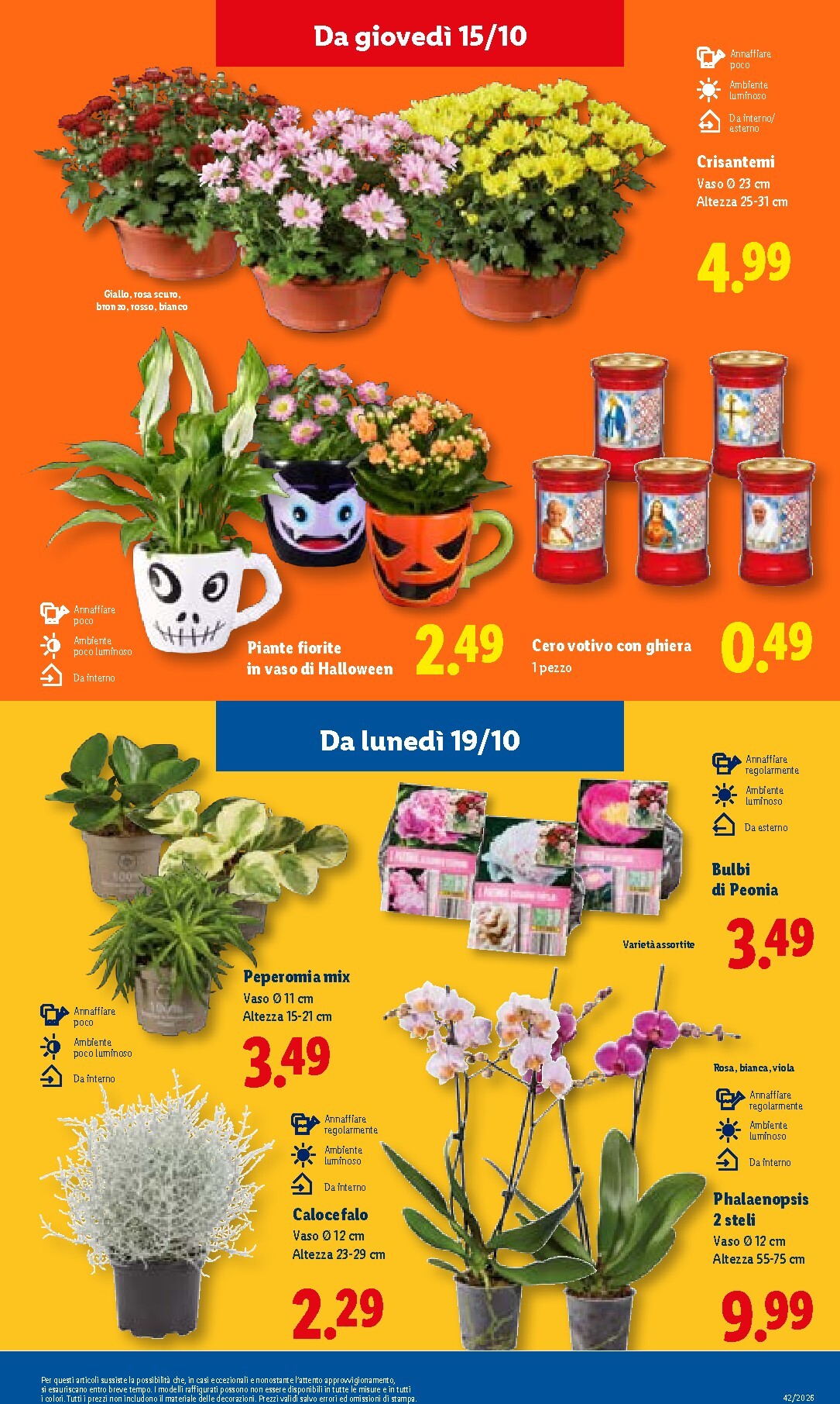lidl - Volantino Lidl per la prossima settimana dal giovedì 15/10/2026 al mercoledì 21/10/2026 - page: 45