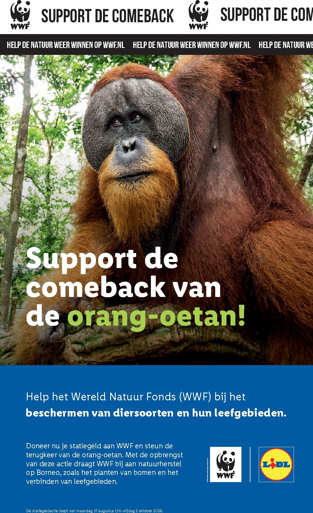 lidl - Lidl folder voor volgende week van maandag 21-09-2026 tot zondag 27-09-2026 - page: 44