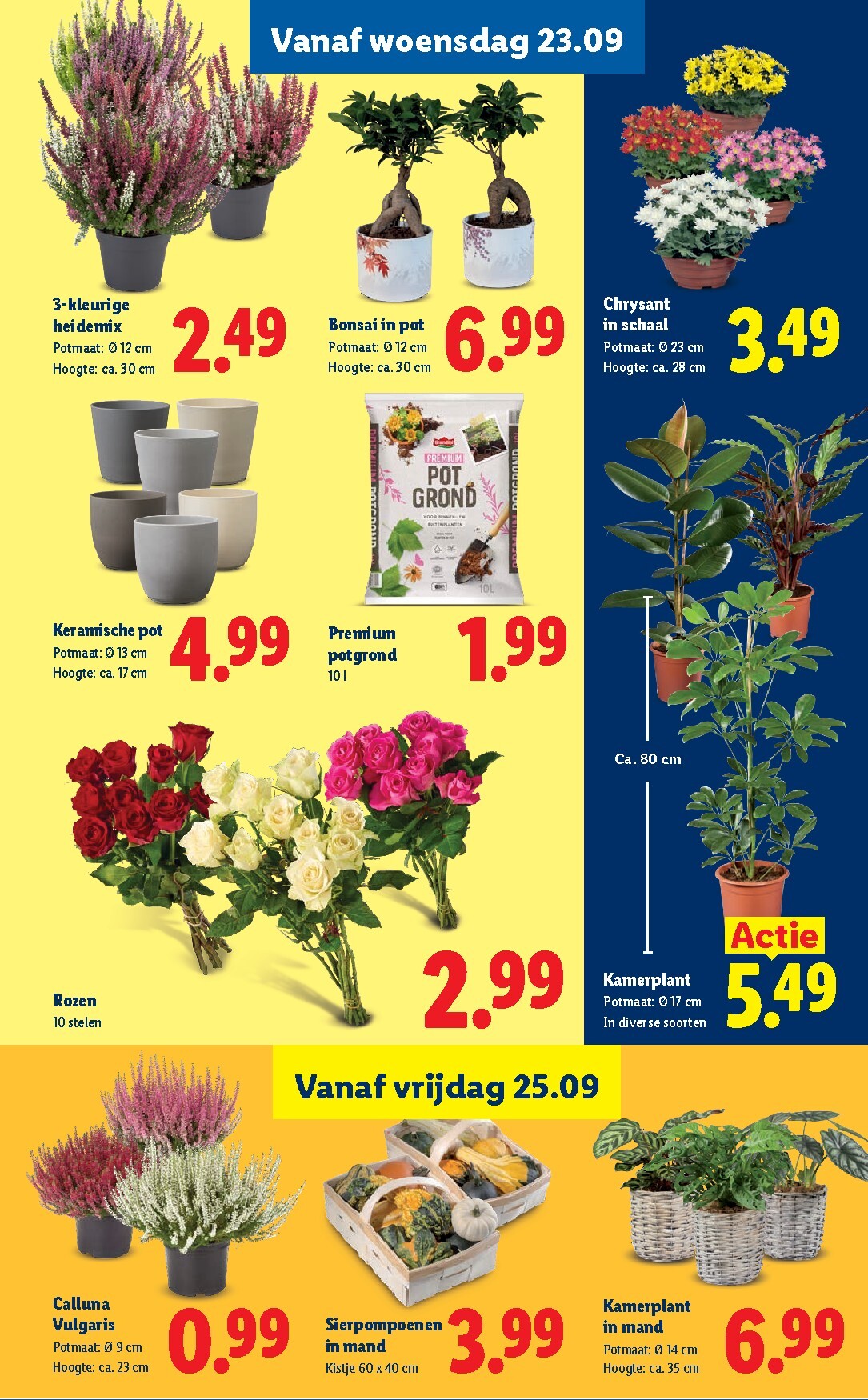 lidl - Huidige Lidl folder geldig van maandag 21-09-2026 tot zondag 27-09-2026 - page: 17