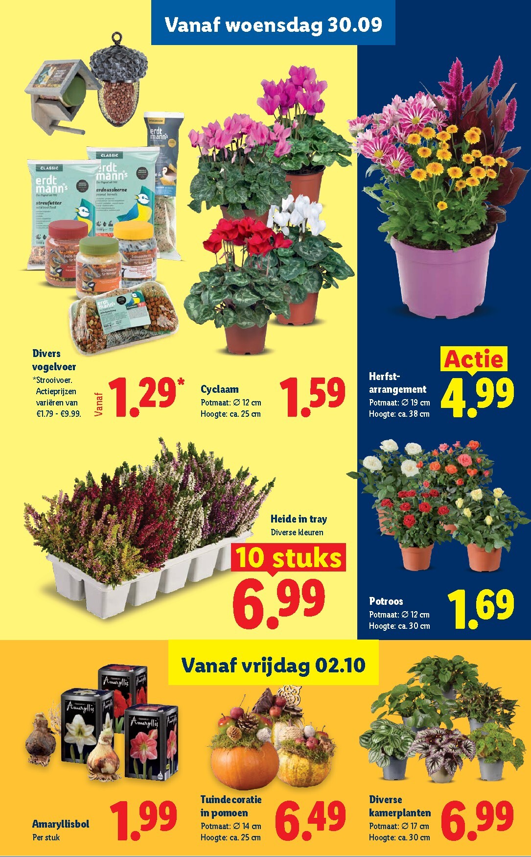 lidl - Huidige Lidl folder geldig van maandag 28-09-2026 tot zondag 04-10-2026 - page: 23