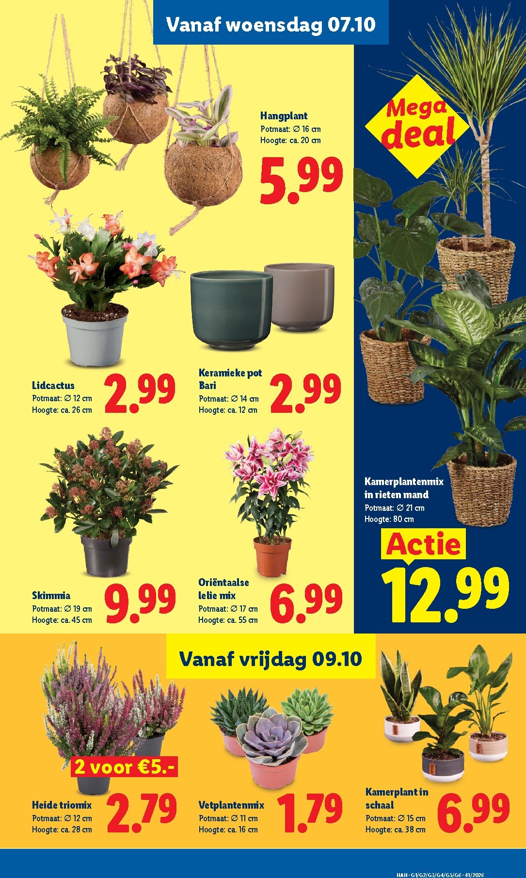 lidl - Lidl folder voor volgende week van maandag 05-10-2026 tot zondag 11-10-2026 - page: 13