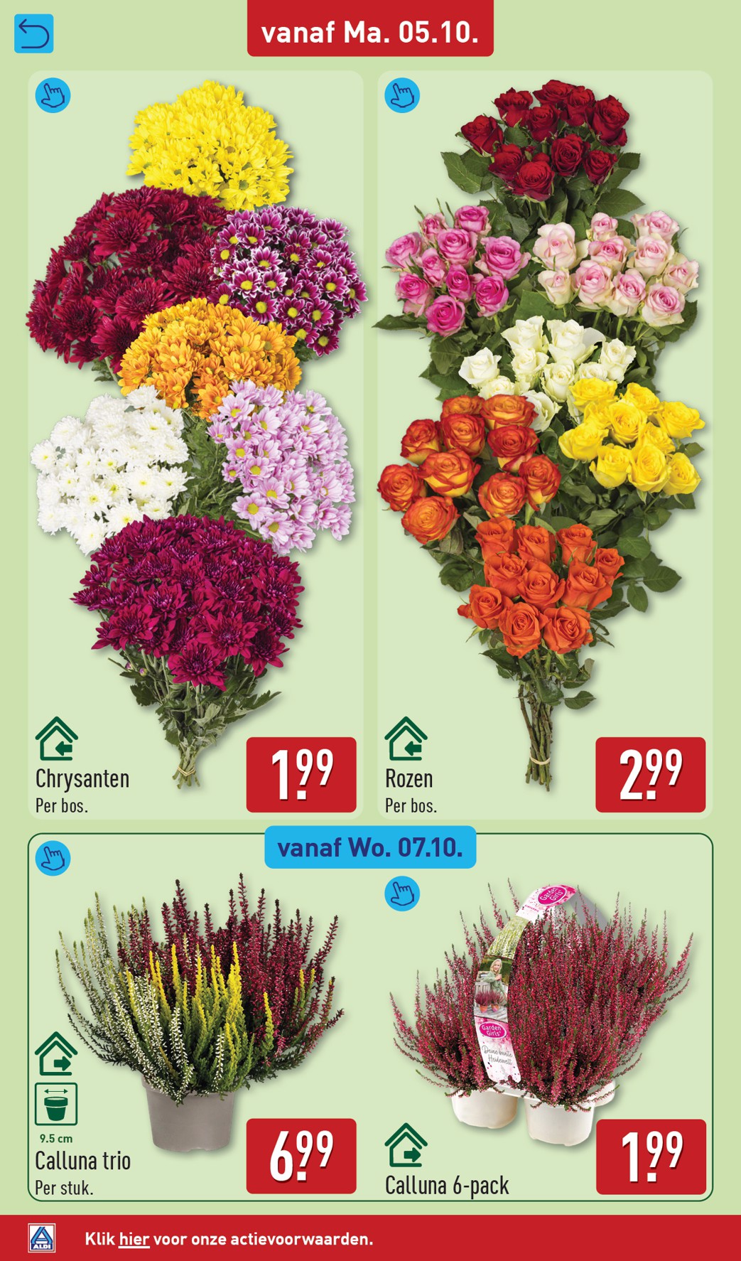 aldi - ALDI folder voor volgende week van maandag 05-10-2026 tot zondag 11-10-2026 - page: 38