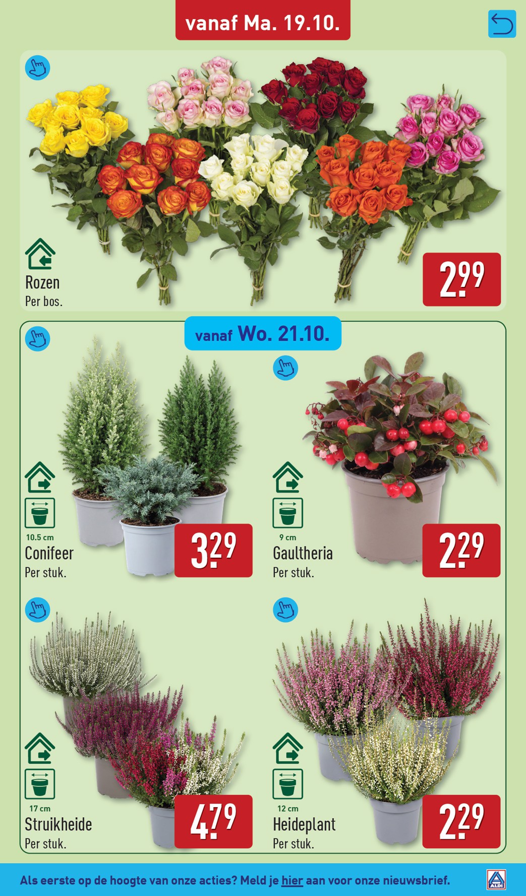 aldi - ALDI folder voor volgende week van maandag 19-10-2026 tot zondag 25-10-2026 - page: 33