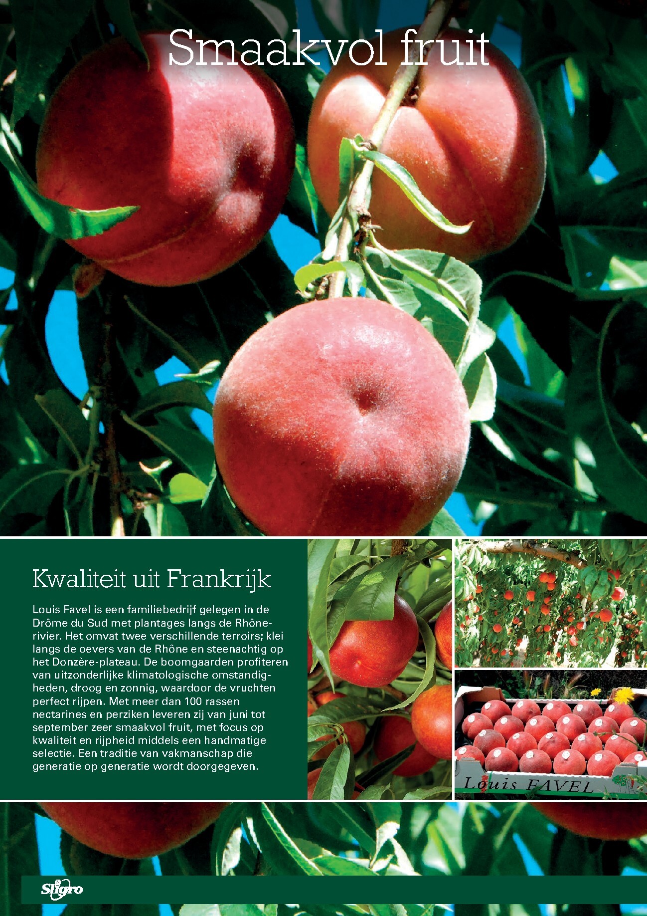 sligro - Sligro - Wijn folder voor volgende week van donderdag 02-07-2026 tot maandag 20-07-2026 - page: 42