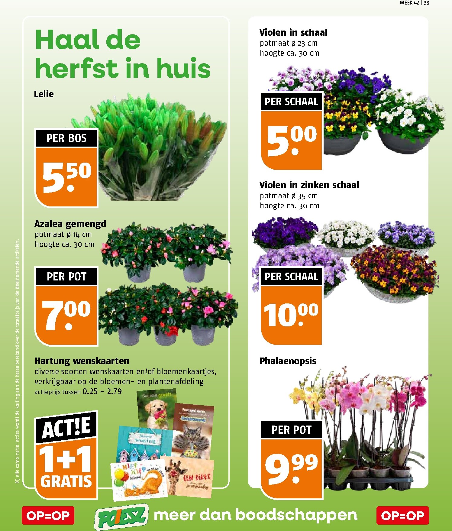 poiesz - Poiesz folder voor volgende week van zondag 11-10-2026 tot zaterdag 17-10-2026 - page: 33