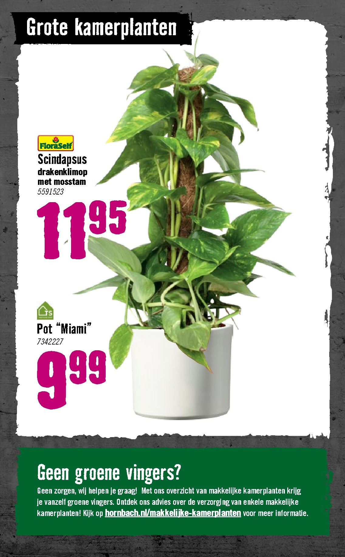 hornbach - De Hornbach folder geldig vanaf 05-01 t/m 08-02 - page: 80