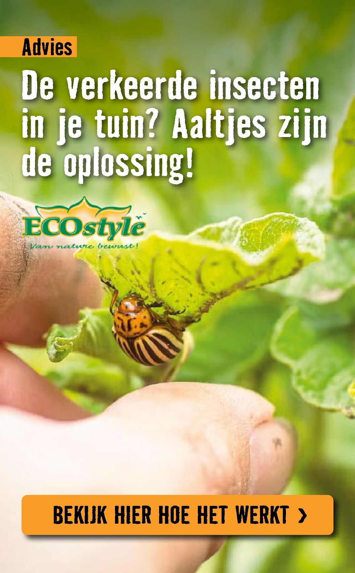 hornbach - Huidige Hornbach folder geldig van dinsdag 07-04-2026 tot zondag 03-05-2026 - page: 21