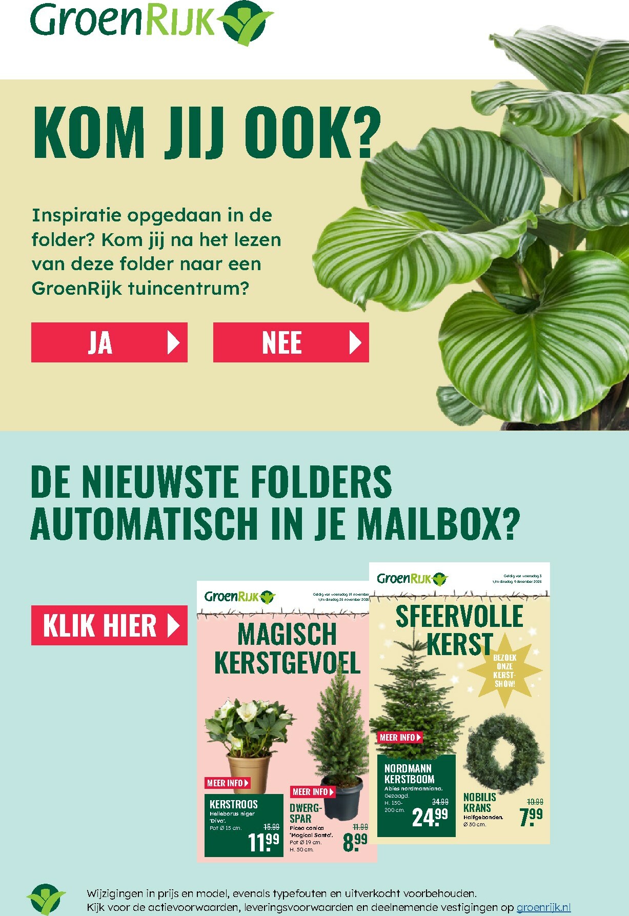 groenrijk - De GroenRijk folder geldig vanaf 27-12 t/m 07-01 - page: 20