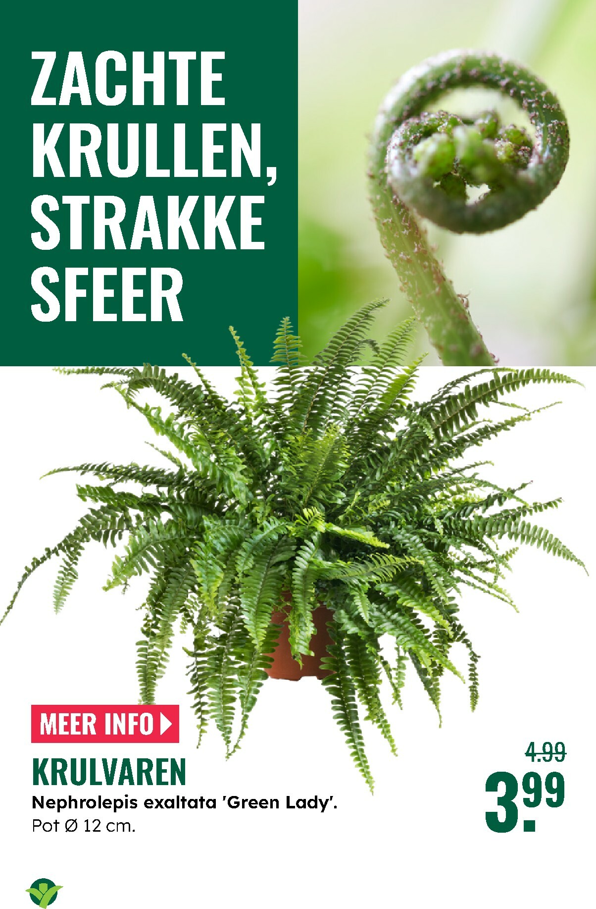 groenrijk - De GroenRijk folder geldig vanaf 27-12 t/m 07-01 - page: 18