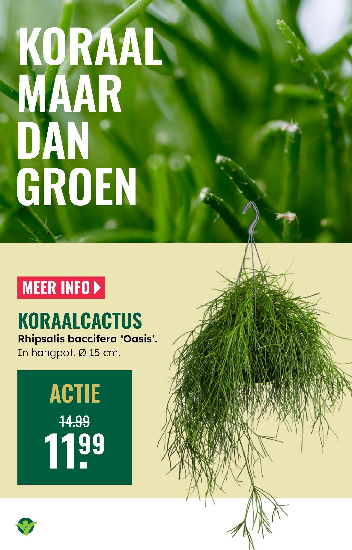groenrijk - De GroenRijk folder geldig vanaf 12-02-2026 t/m 18-02-2026 - page: 9