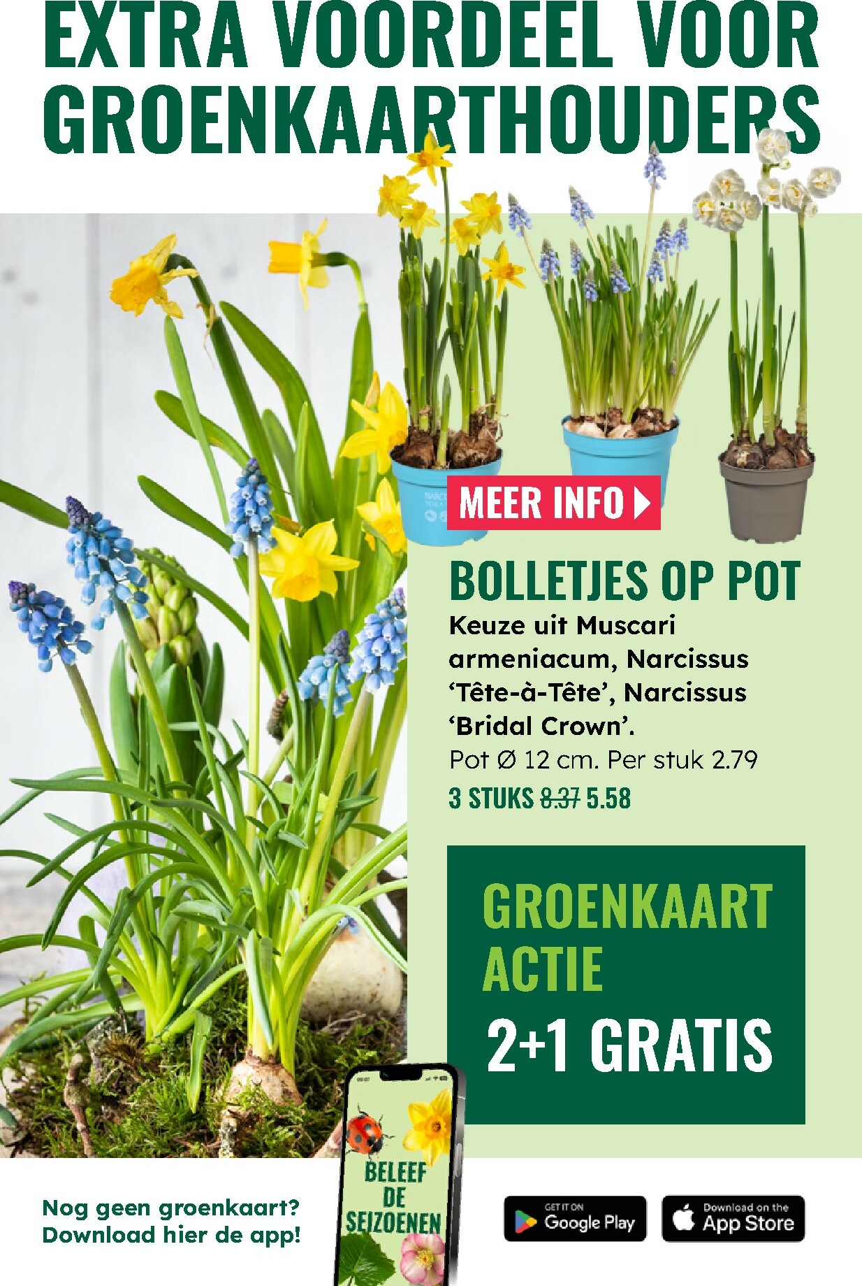 groenrijk - De GroenRijk folder geldig vanaf 12-02-2026 t/m 18-02-2026 - page: 3