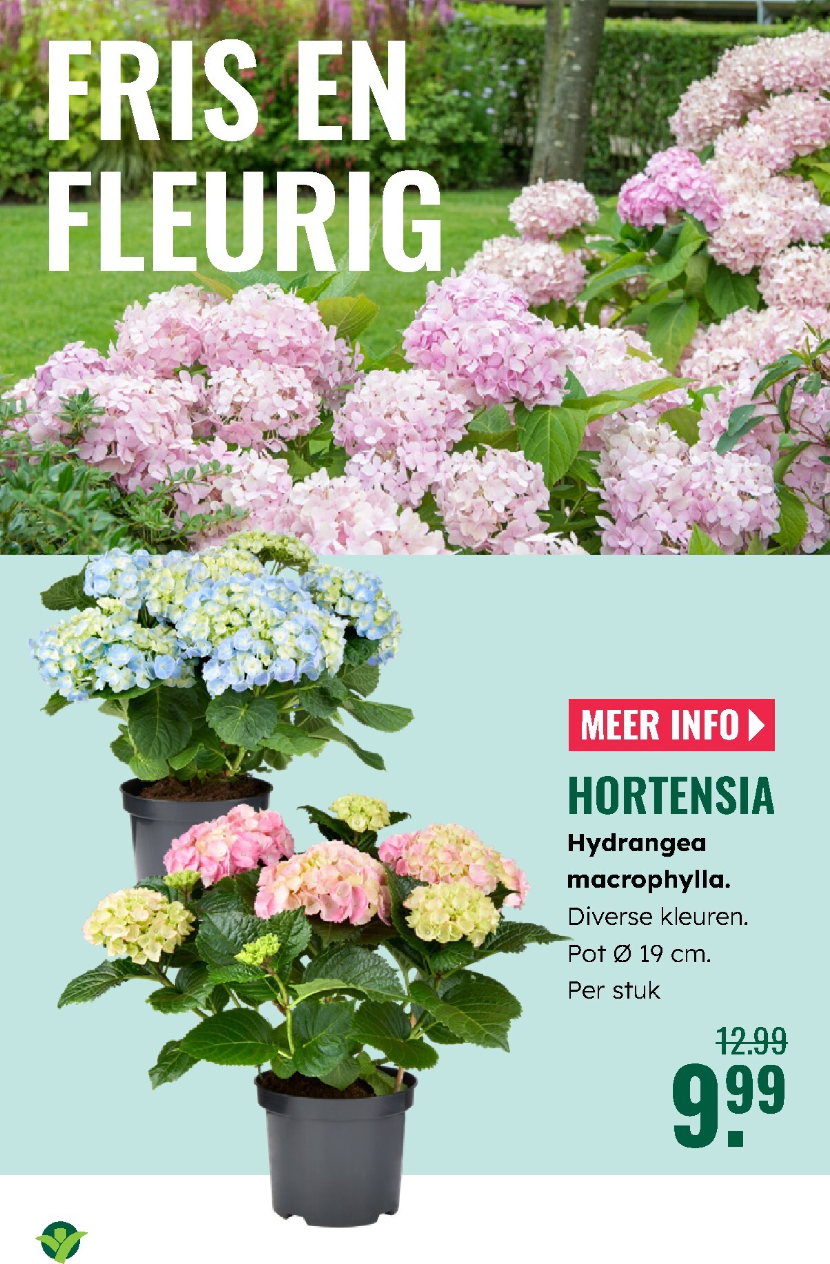 groenrijk - De GroenRijk folder geldig vanaf 19-03-2026 t/m 25-03-2026 - page: 4