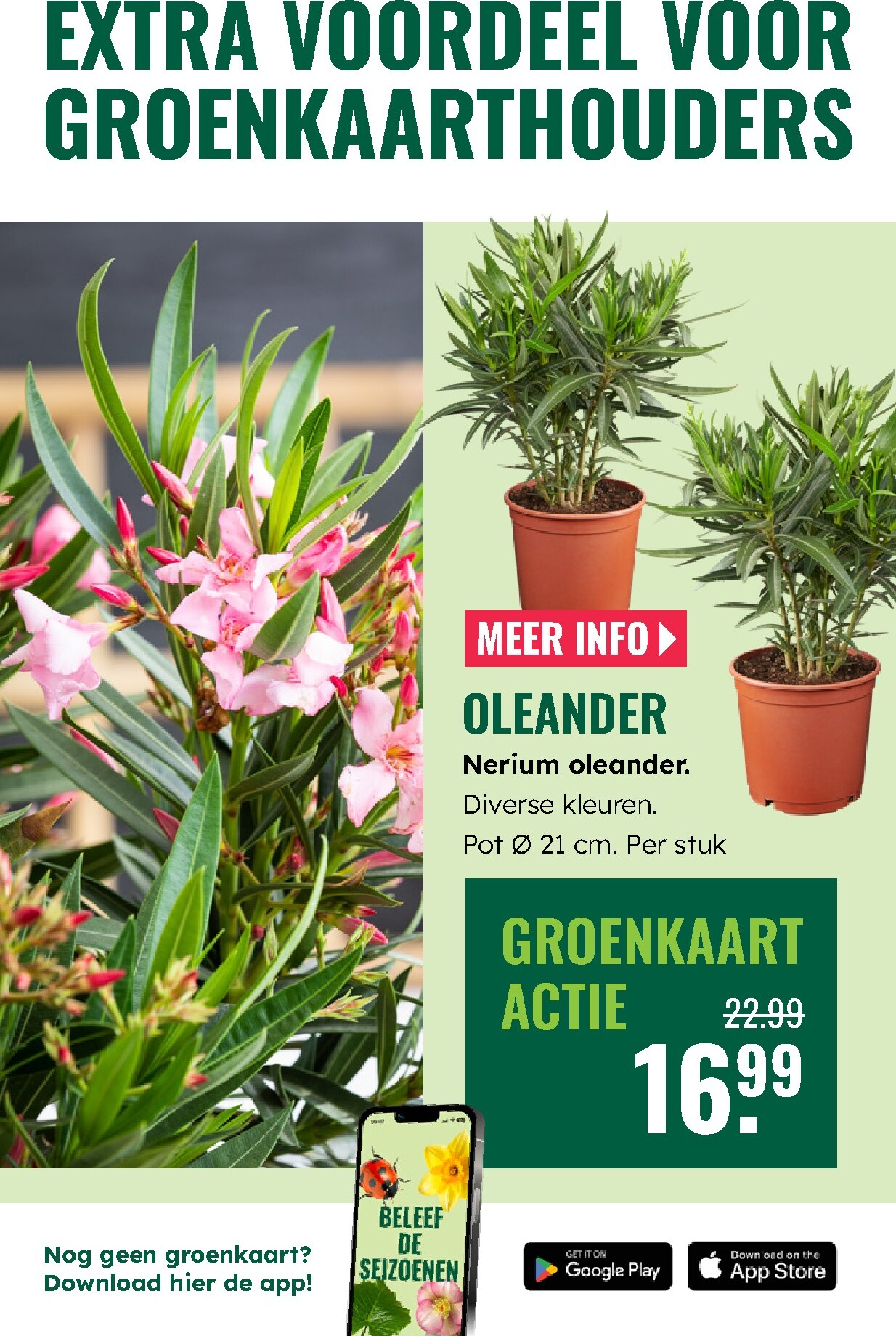 groenrijk - De GroenRijk folder geldig vanaf 02-04-2026 t/m 08-04-2026 - page: 26