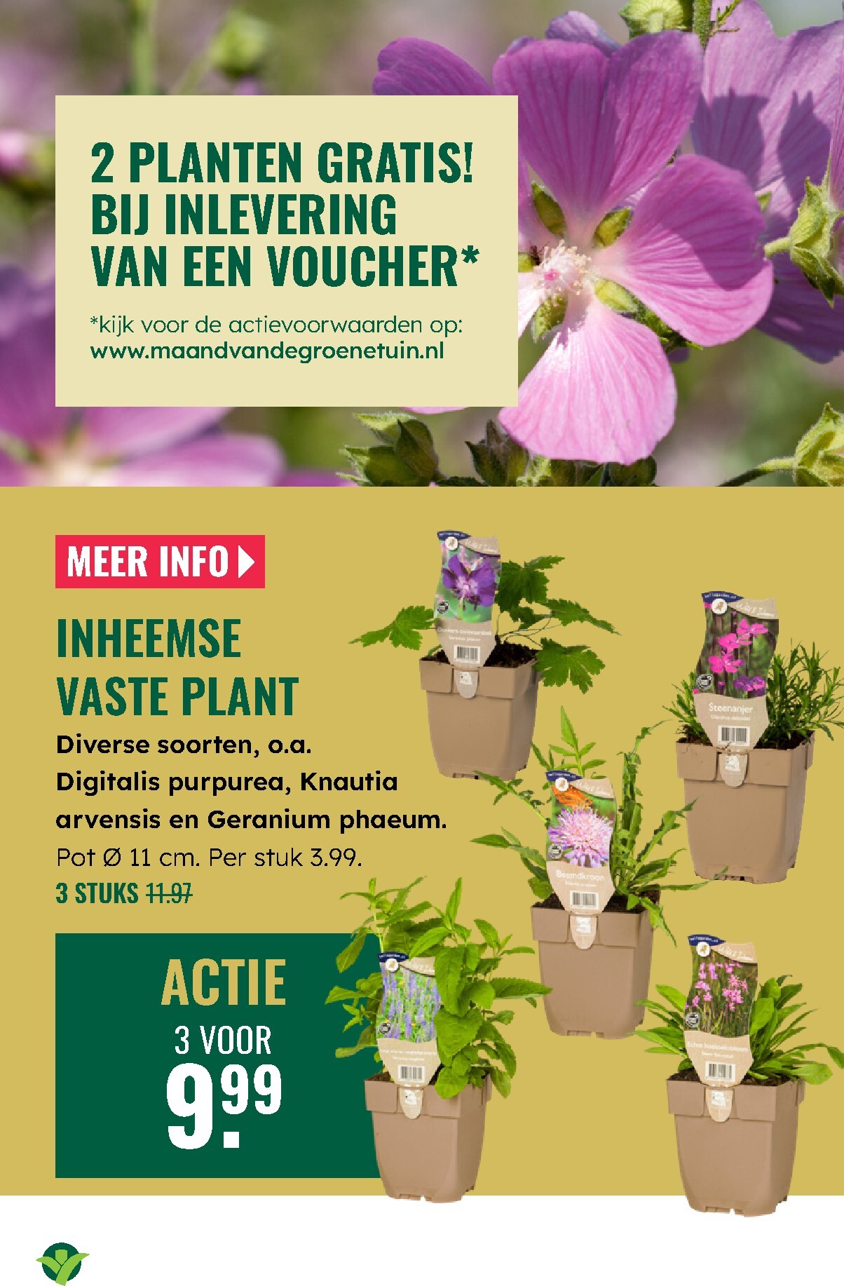groenrijk - De GroenRijk folder geldig vanaf 02-04-2026 t/m 08-04-2026 - page: 17