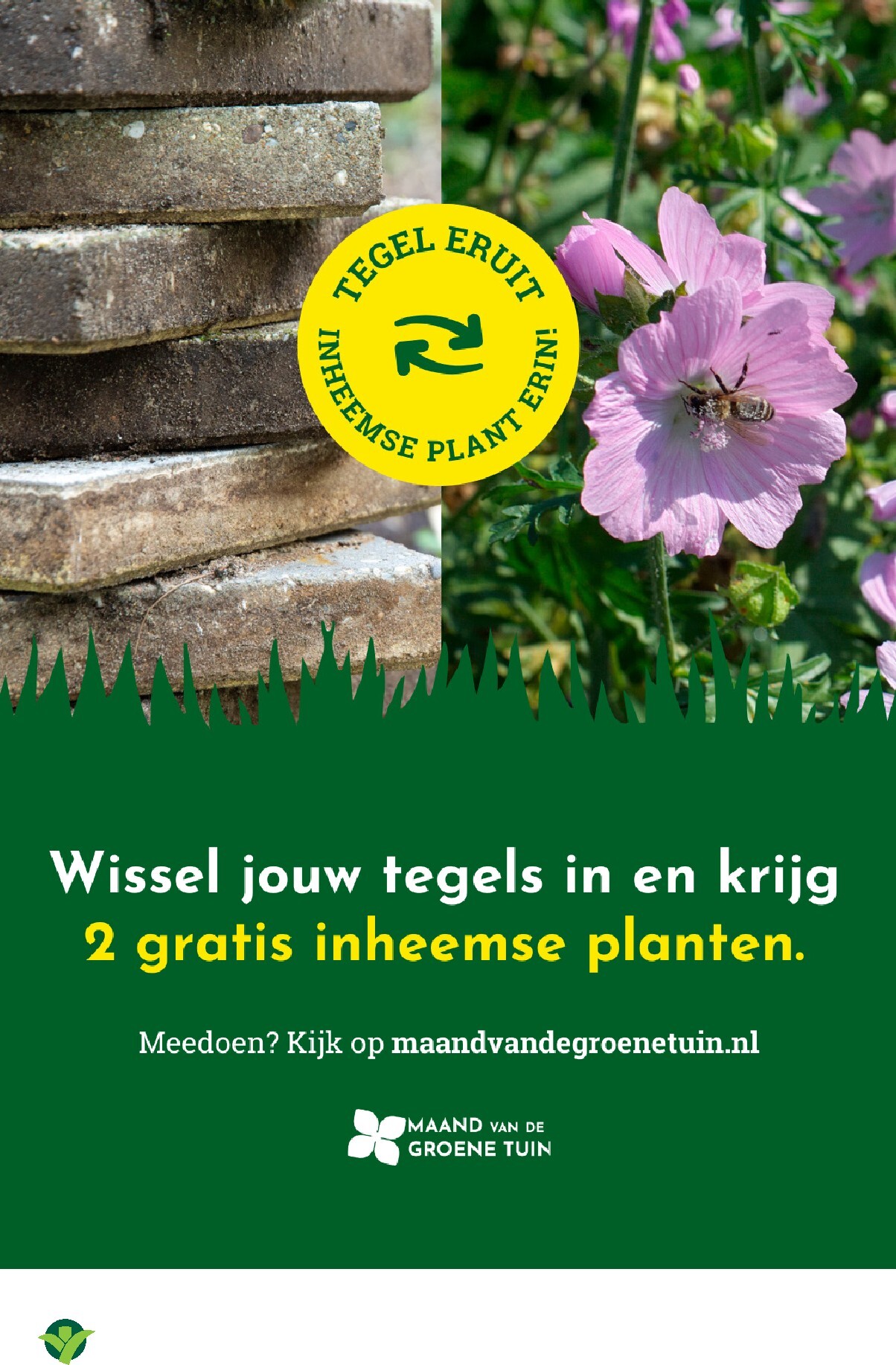 groenrijk - De GroenRijk folder geldig vanaf 02-04-2026 t/m 08-04-2026 - page: 15