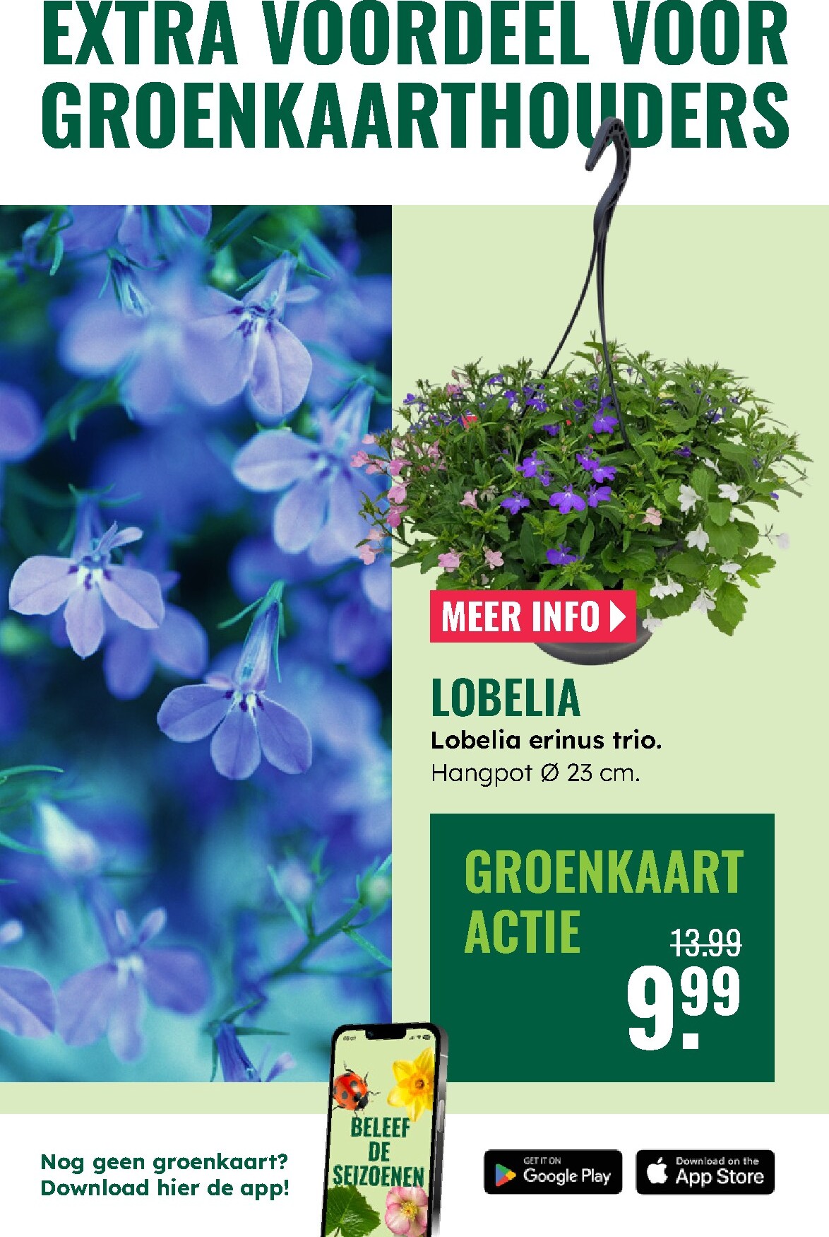 groenrijk - Huidige GroenRijk folder geldig van donderdag 23-04-2026 tot woensdag 29-04-2026 - page: 7