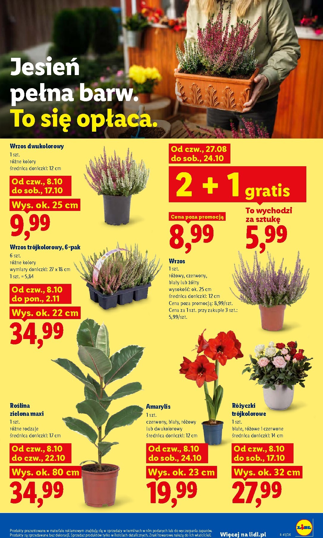 lidl - Nowa gazetka Lidl - Gazetka ważna od 09.10.2026 do 10.10.2026 - page: 85