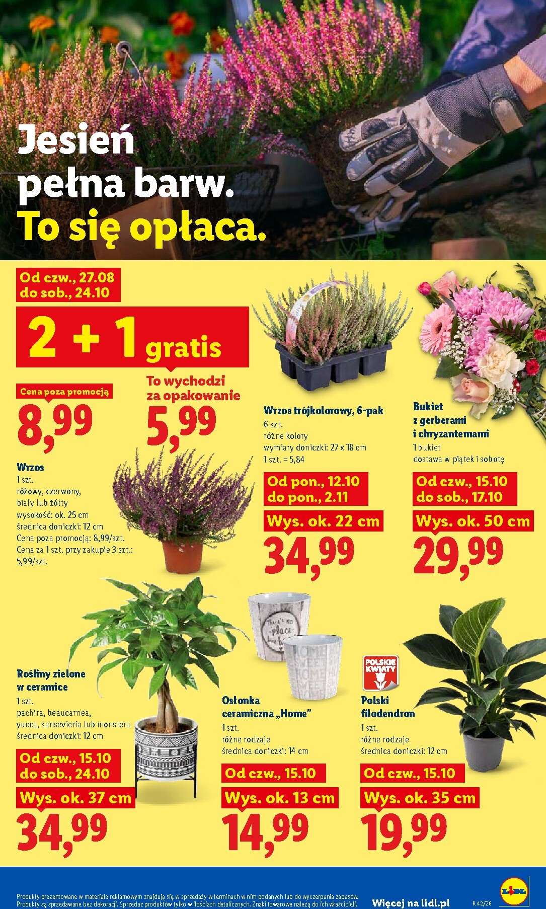lidl - Nowa gazetka Lidl ważna od 15.10.2026 do 17.10.2026 - page: 107