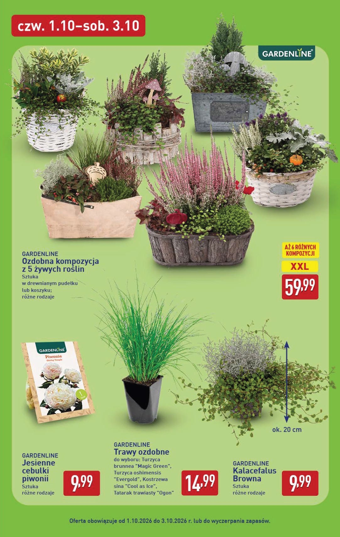 aldi - Aktualna gazetka ALDI - Oferta weekendowa ważna od 01.10.2026 do 03.10.2026 - page: 7