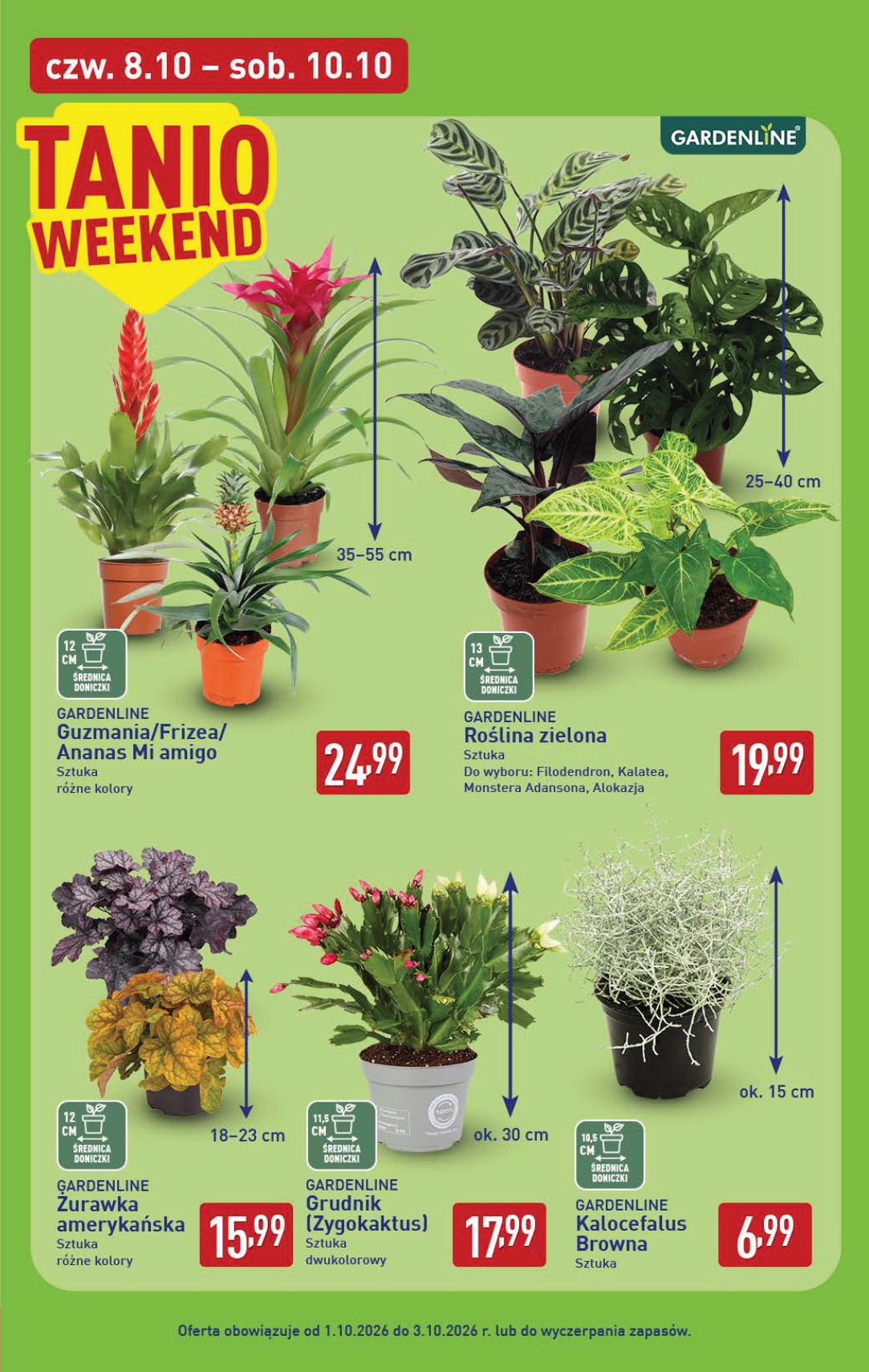 aldi - Nowa gazetka ALDI ważna od 05.10.2026 do 10.10.2026 - page: 39