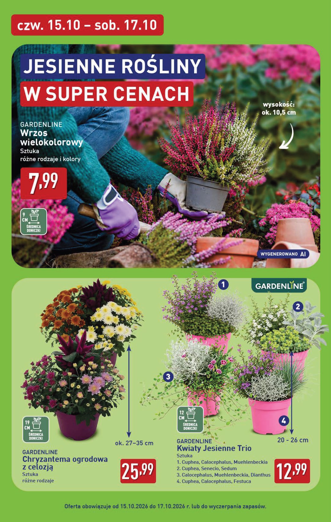 aldi - Nowa gazetka ALDI ważna od 12.10.2026 do 17.10.2026 - page: 44
