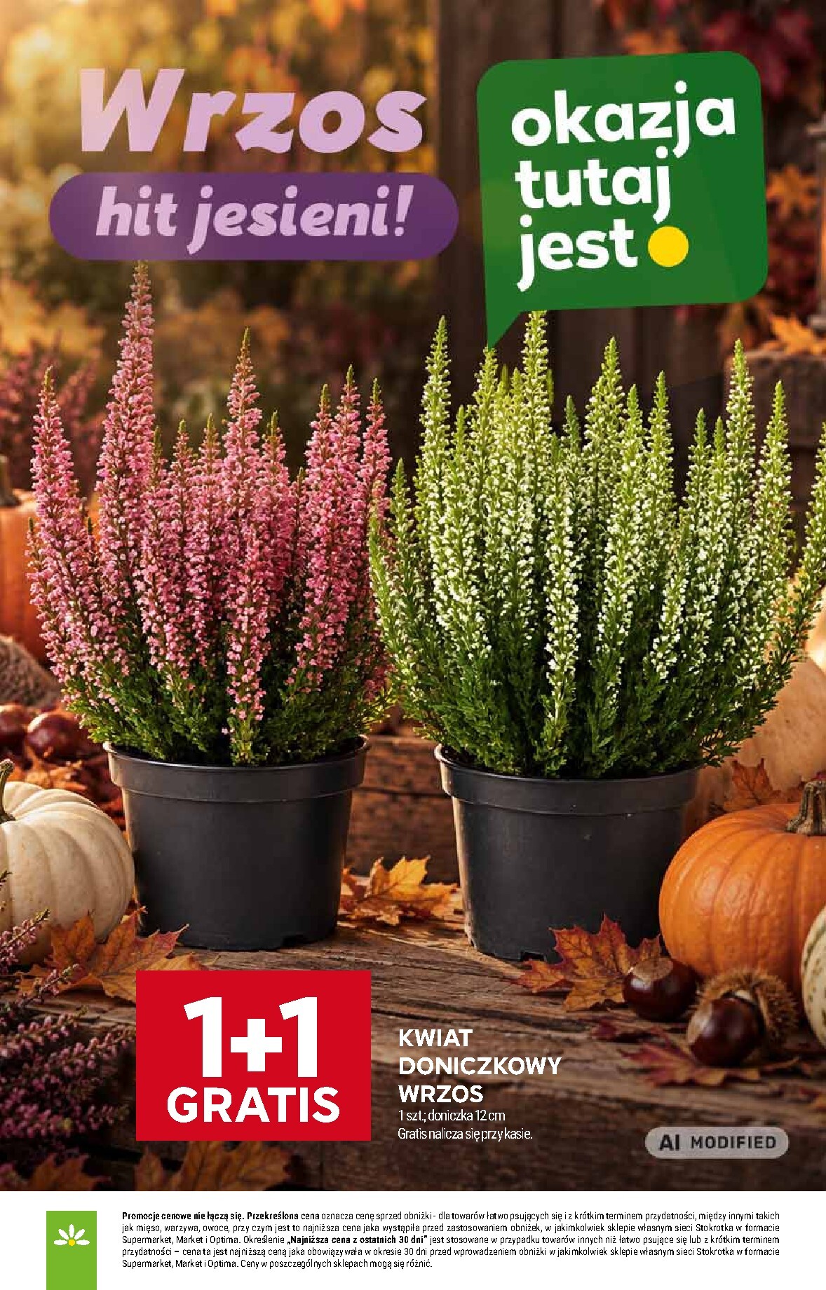 stokrotka - Aktualna gazetka Stokrotka - Market ważna od 17.09.2026 do 23.09.2026 - page: 13