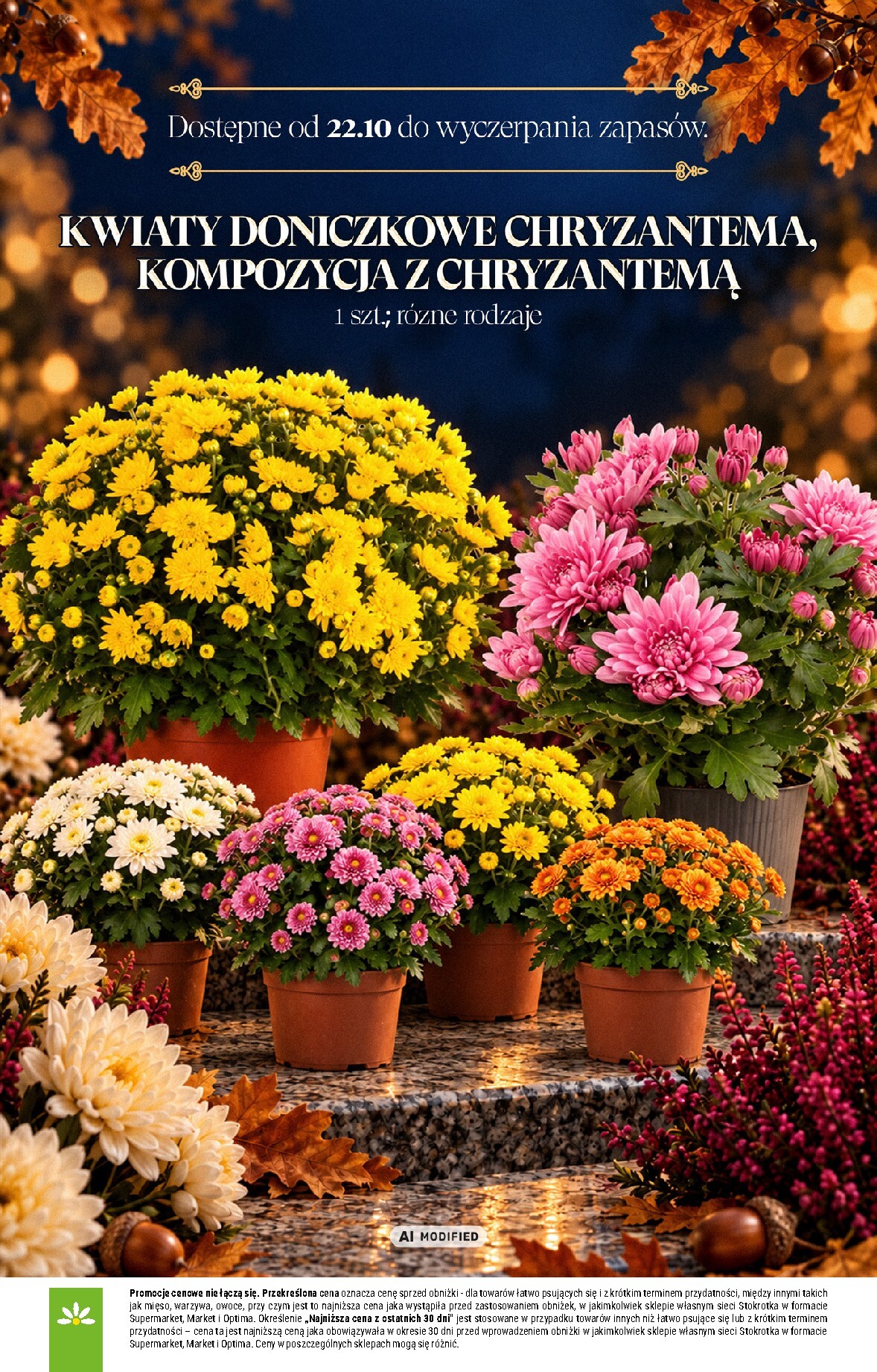 stokrotka - Aktualna gazetka Stokrotka - Znicze ważna od 01.10.2026 do 04.11.2026 - page: 16