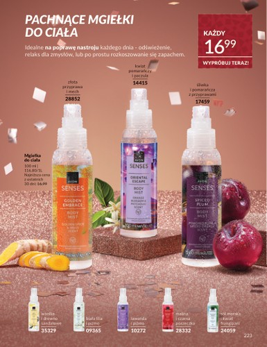 avon - Gazetka Avon - ważna od 01.12. do 31.12. - page: 223