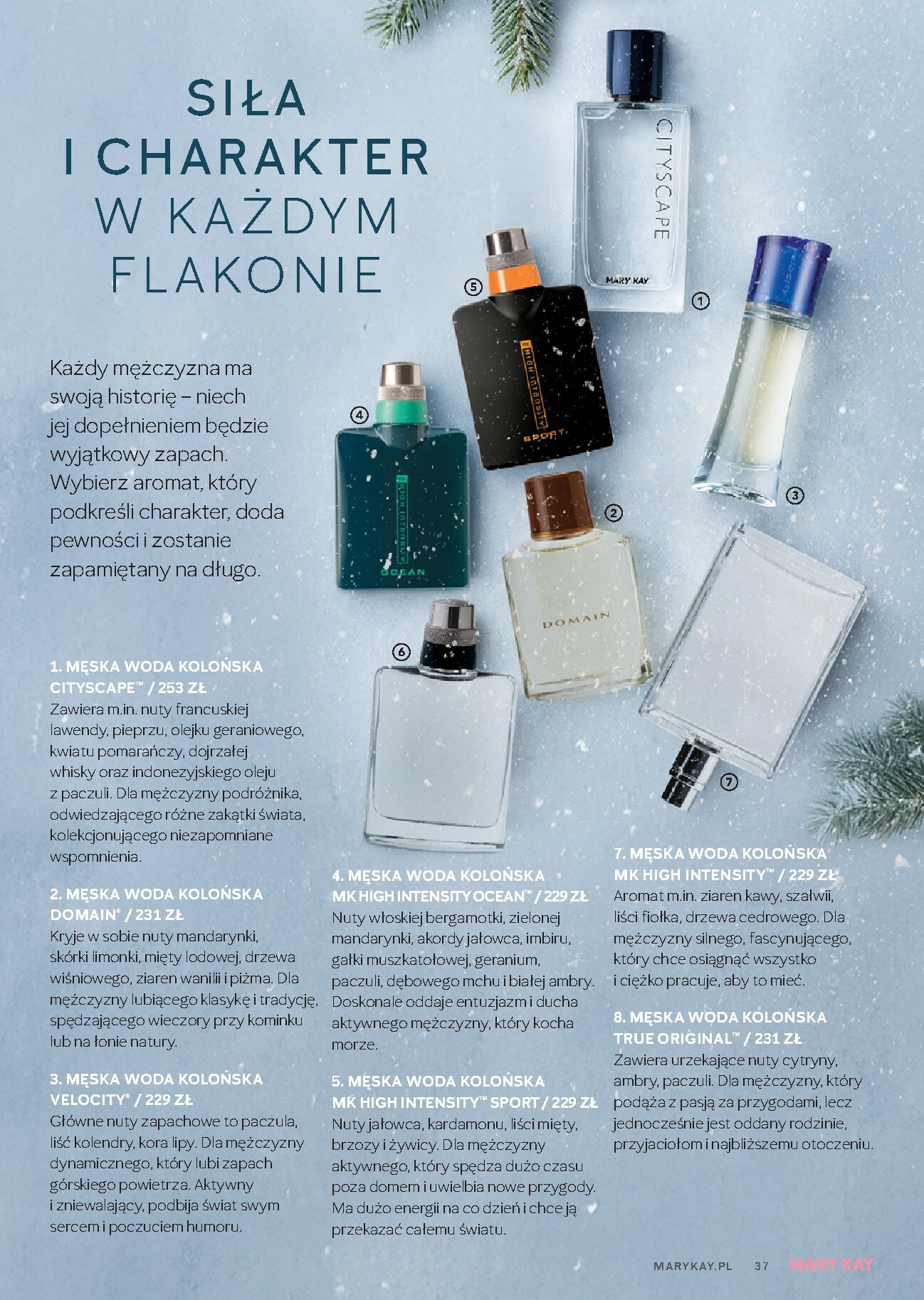 mary-kay - Gazetka Mary Kay - ważna od 01.01. do 28.02. - page: 37