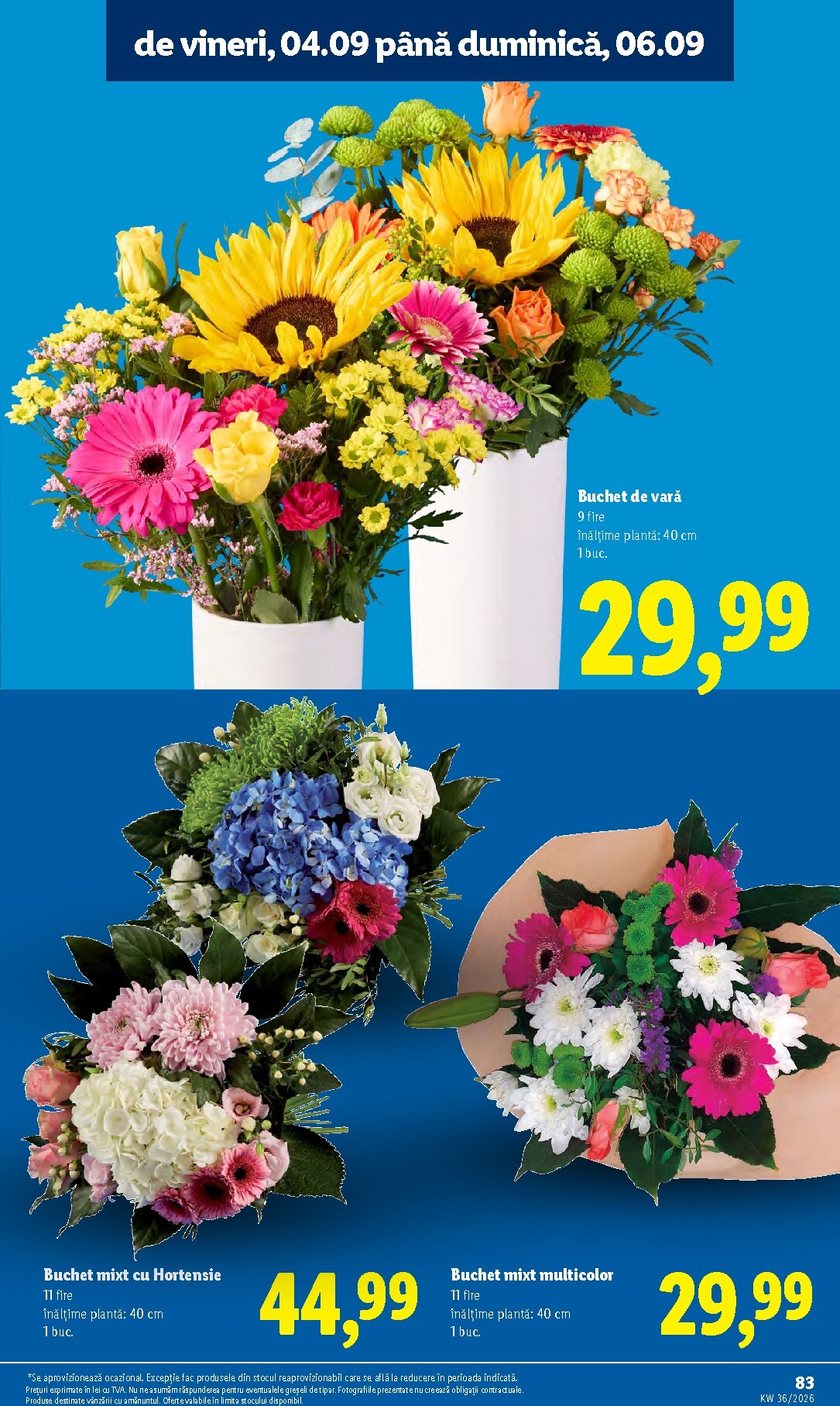 lidl - Lidl pliante pentru săptămâna viitoare de la luni 31.08.2026 până la duminică 06.09.2026 - page: 83