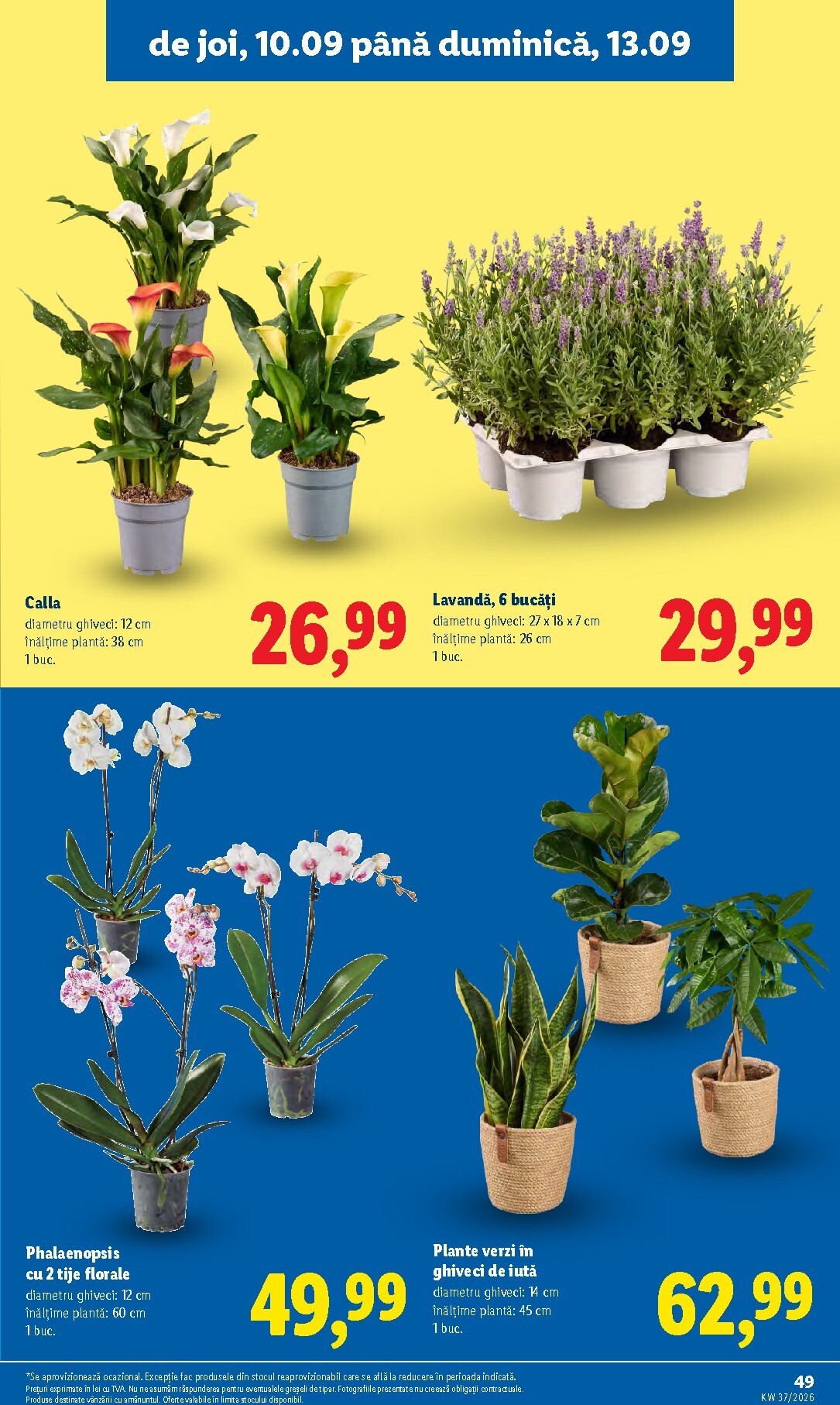 lidl - Lidl pliante pentru săptămâna viitoare de la luni 07.09.2026 până la duminică 13.09.2026 - page: 49