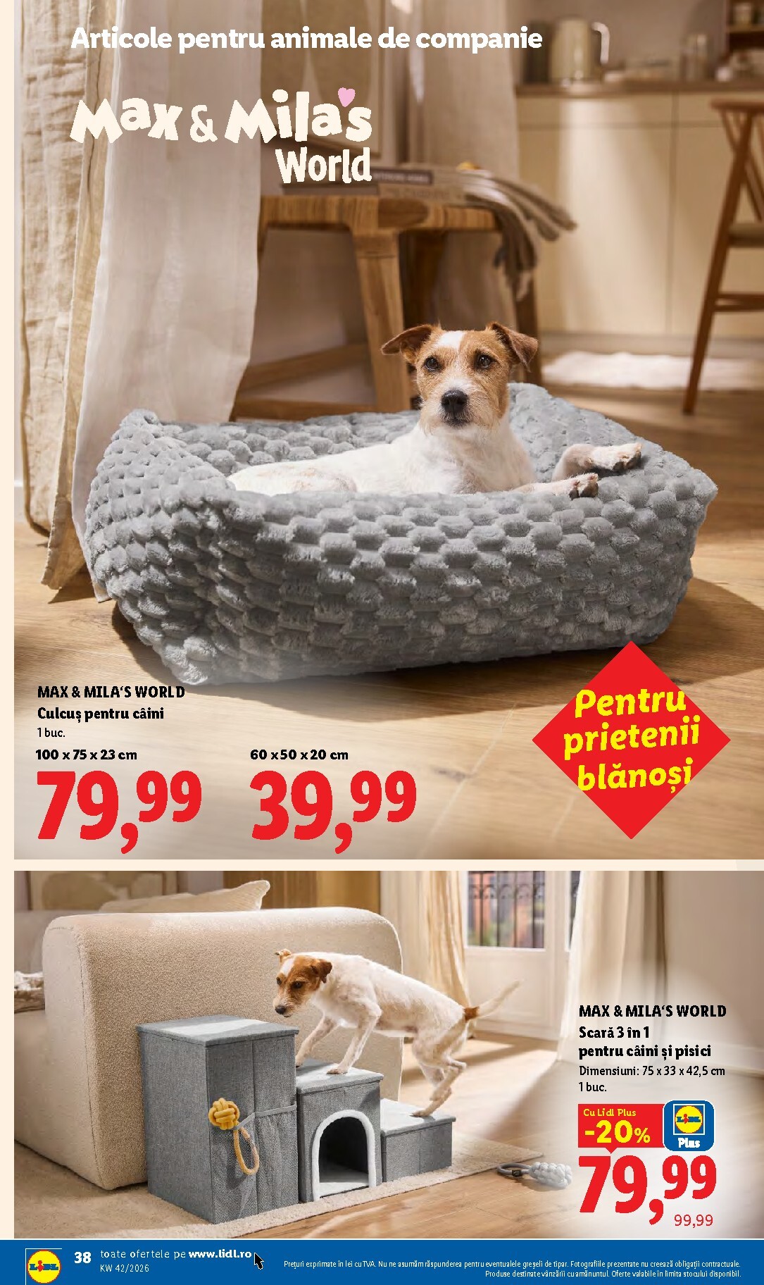 lidl - Lidl pliante pentru săptămâna viitoare de la luni 12.10.2026 până la duminică 18.10.2026 - page: 38