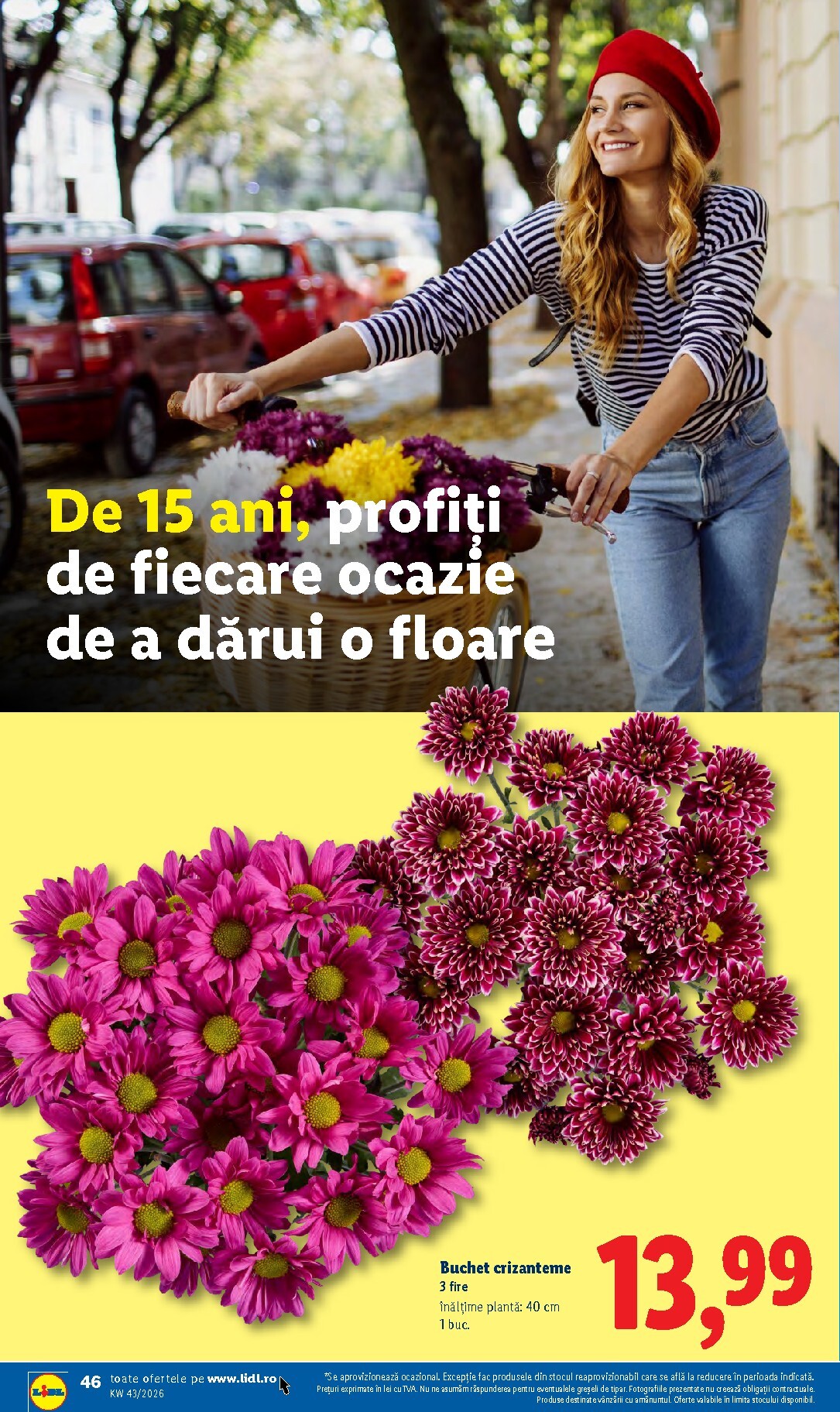 lidl - Lidl pliante pentru săptămâna viitoare de la luni 19.10.2026 până la duminică 25.10.2026 - page: 46