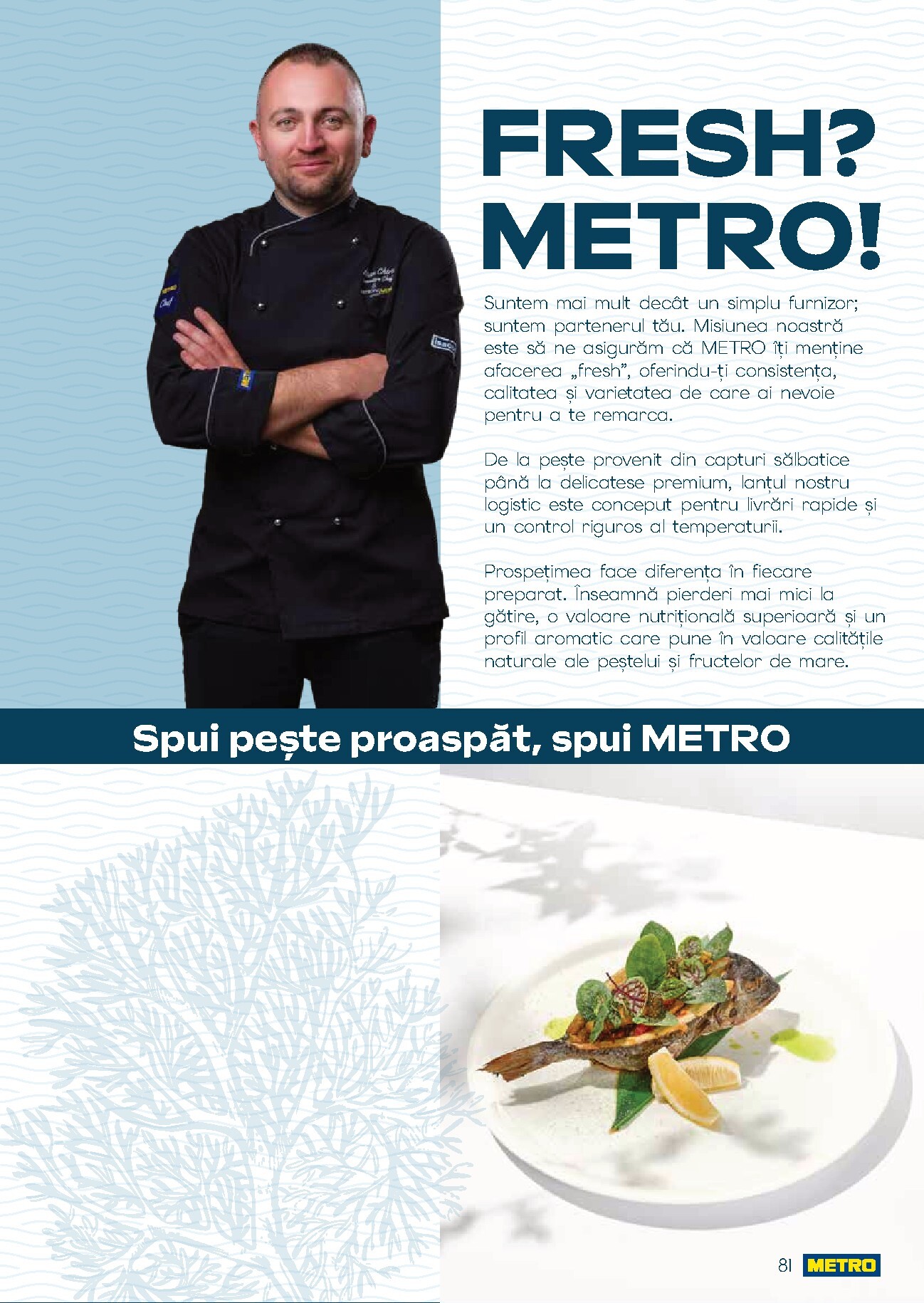 metro - Brosura Metro - Spui pește proaspăt valabilă de la joi 01.10.2026 până la joi 31.12.2026 - page: 81