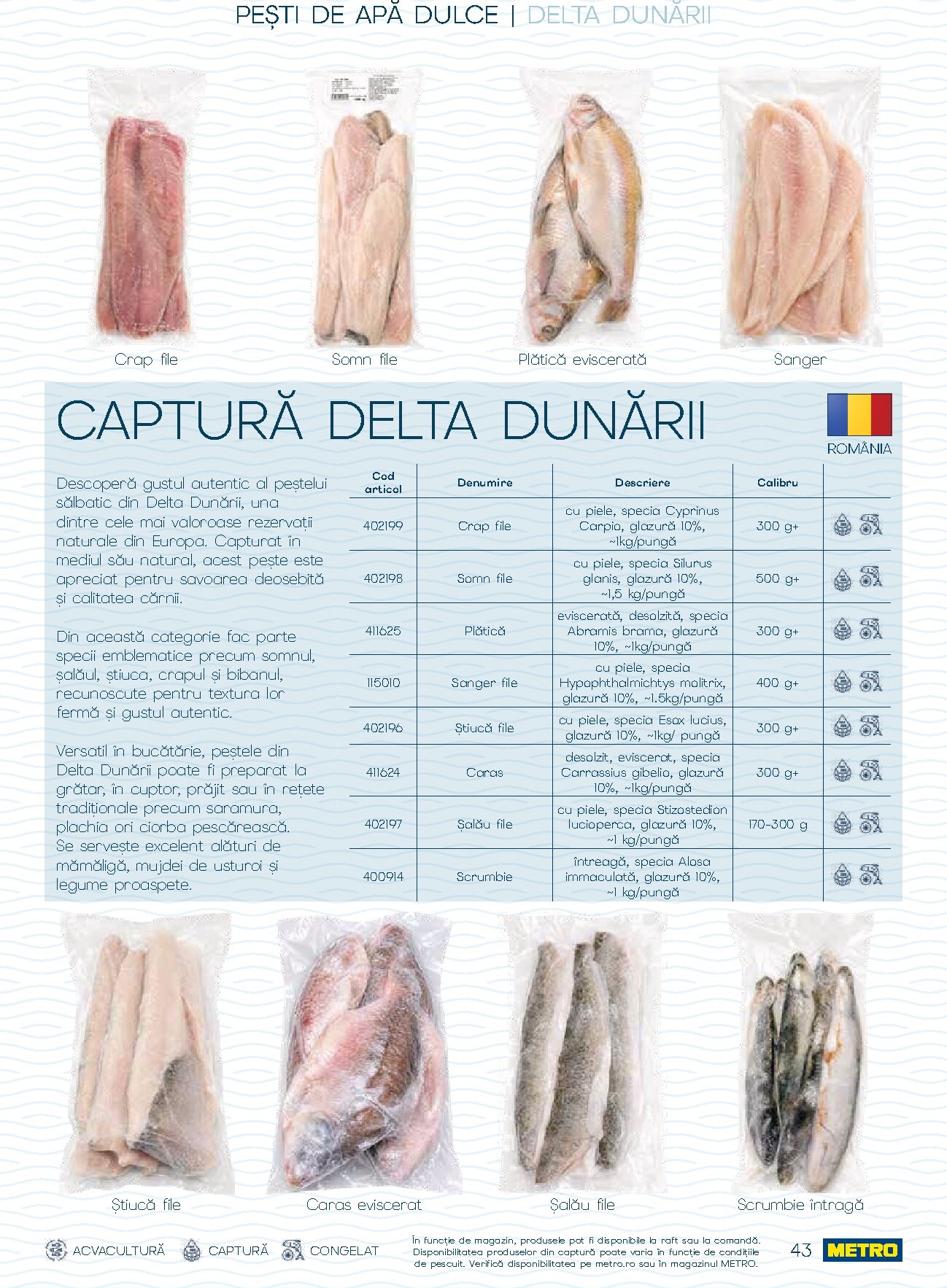 metro - Brosura Metro - Spui pește proaspăt valabilă de la joi 01.10.2026 până la joi 31.12.2026 - page: 43