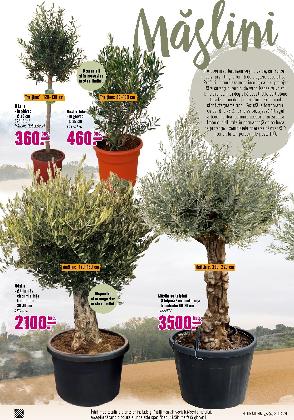 hornbach - Brosura Hornbach - Gradina valabilă de la luni 06.04.2026 până la duminică 31.05.2026 - page: 6