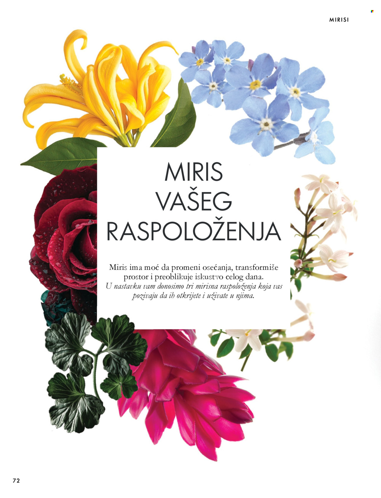 oriflame - Oriflame katalog - 07.10.-17.11.2026 - page: 72