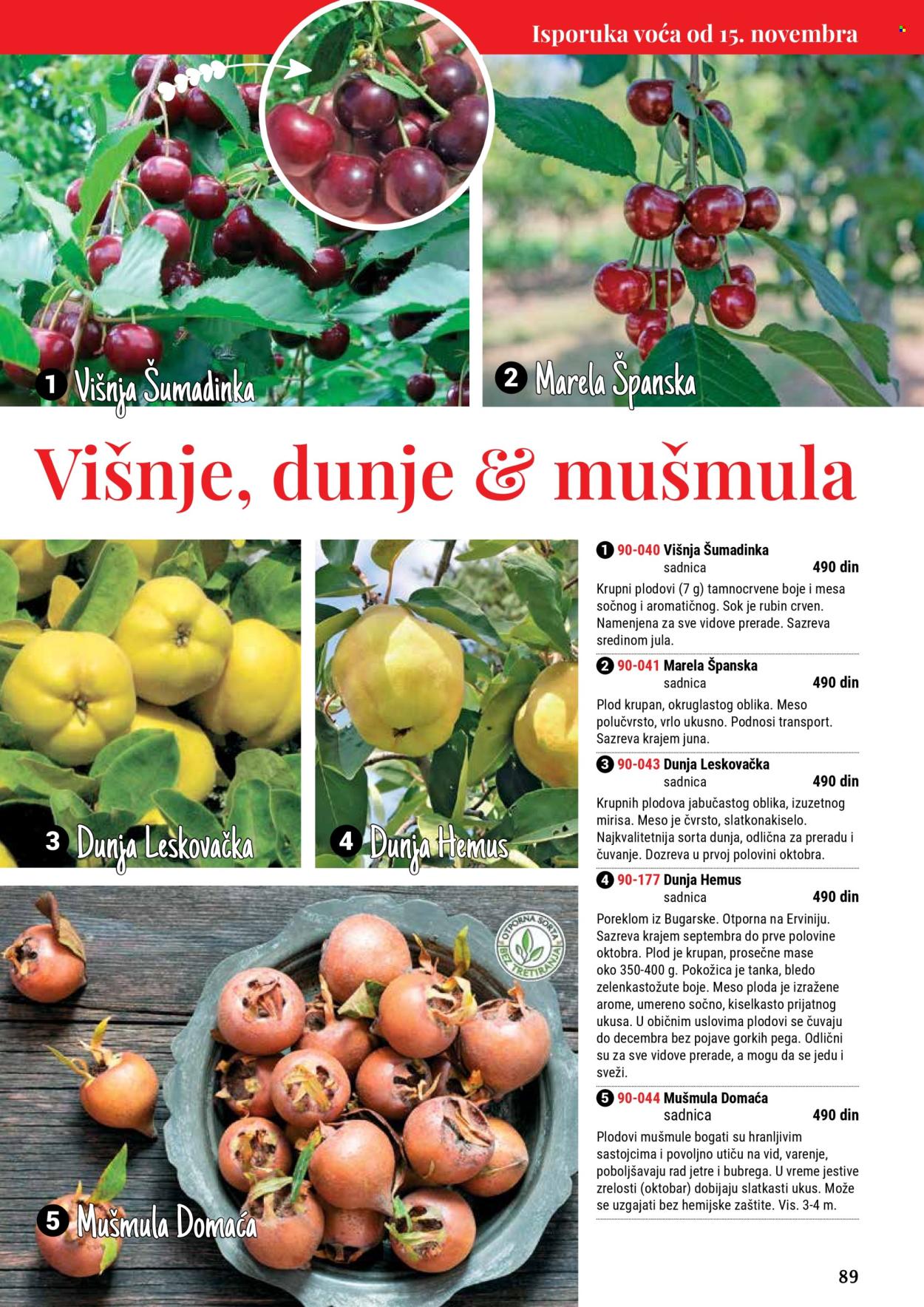 flora-ekspres - Flora Ekspres katalog septembar 2025 - page: 89