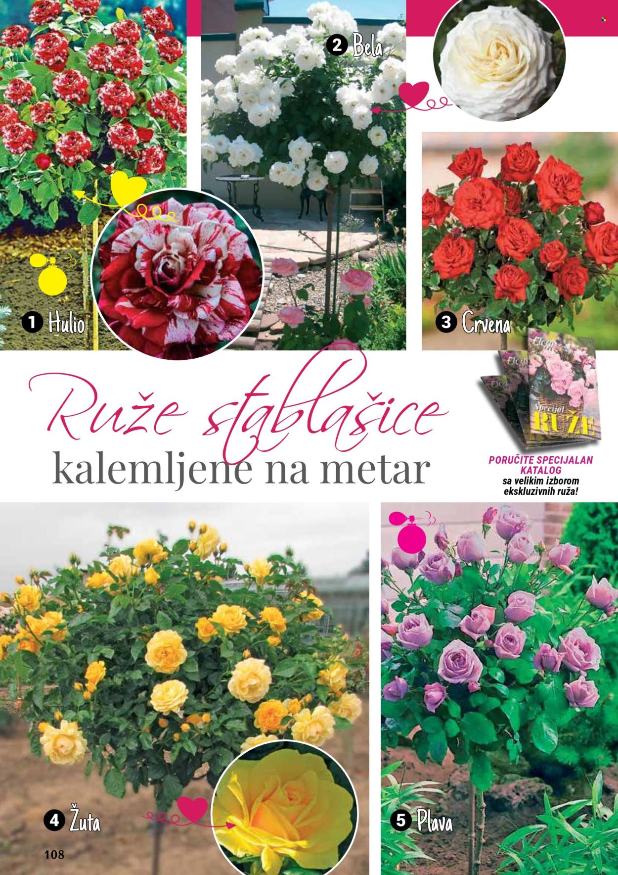 flora-ekspres - Flora Ekspres katalog septembar 2025 - page: 108
