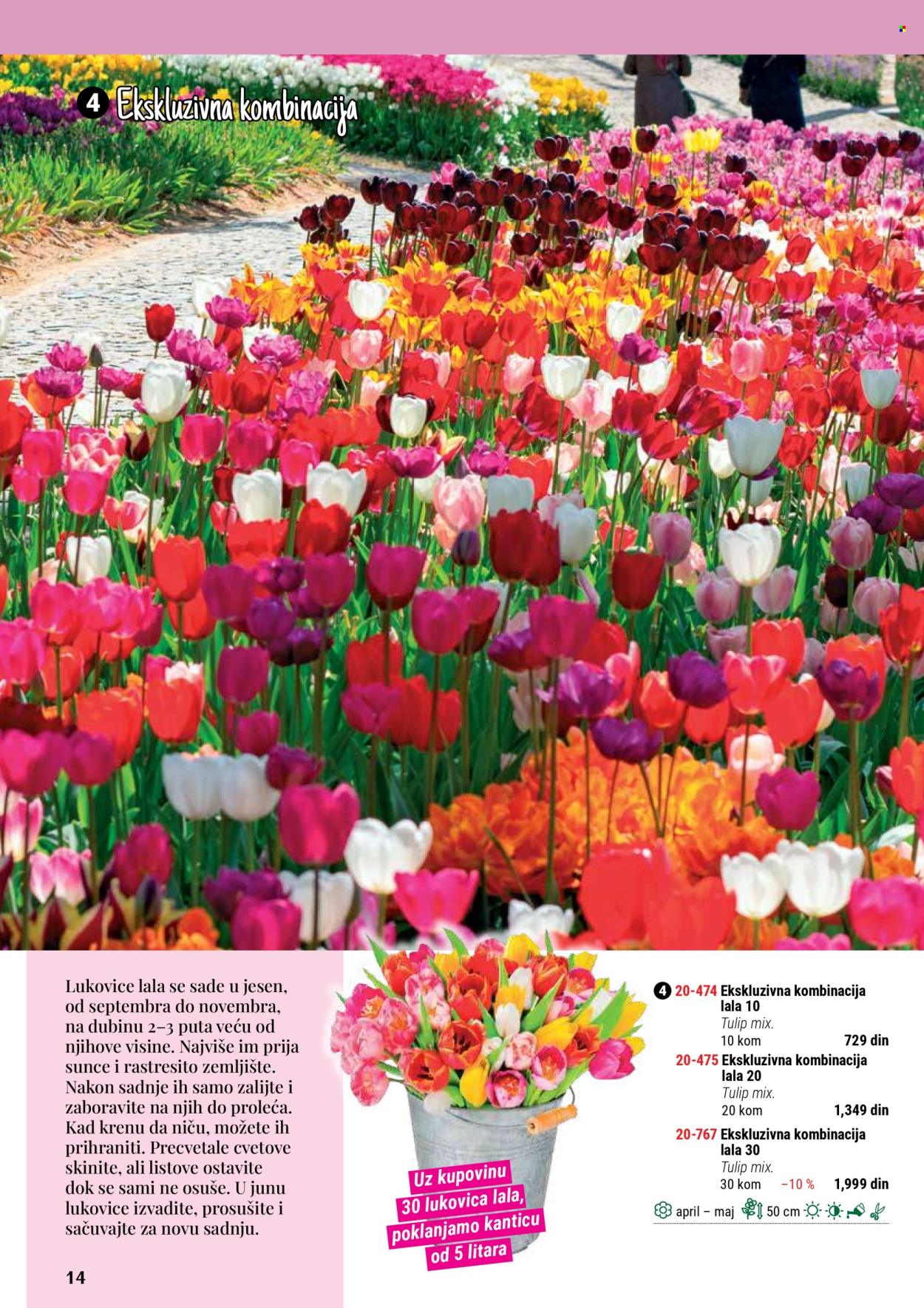flora-ekspres - Flora Ekspres katalog septembar 2025 - page: 14