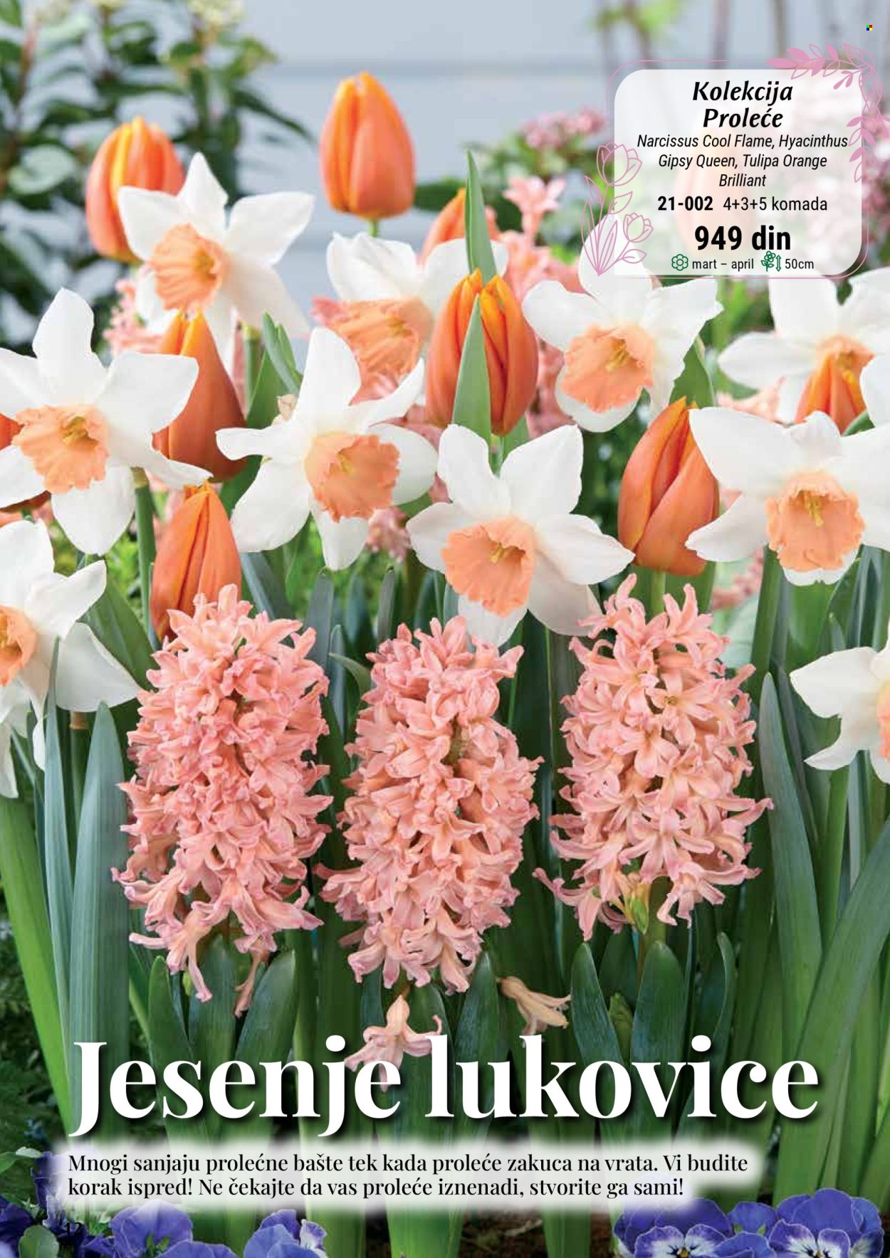 flora-ekspres - Flora Ekspres katalog septembar 2025 - page: 12
