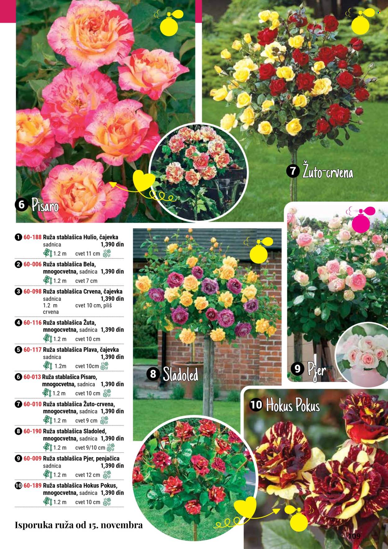 flora-ekspres - Flora Ekspres katalog septembar 2025 - page: 109